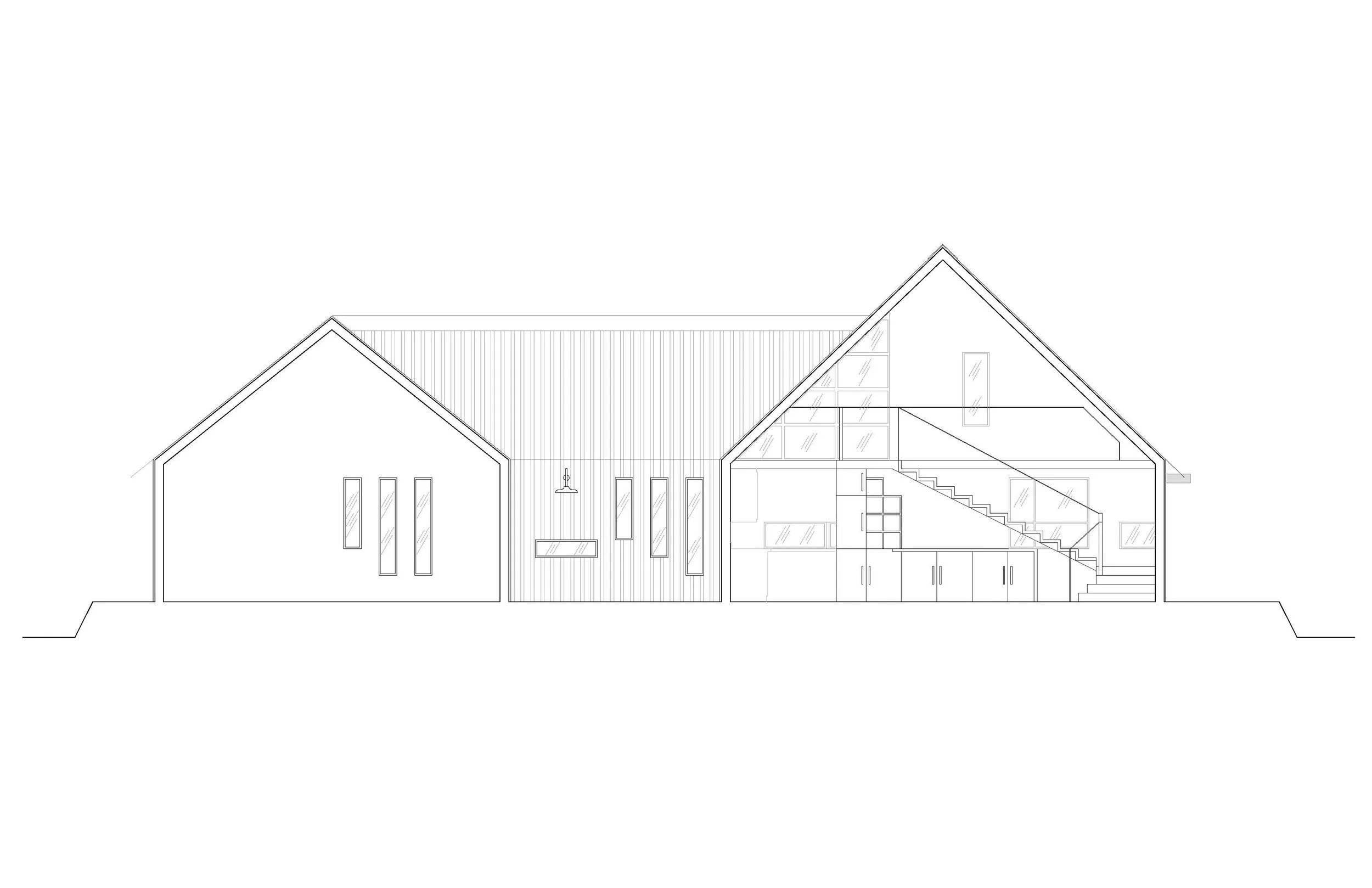 Longitudinal Section