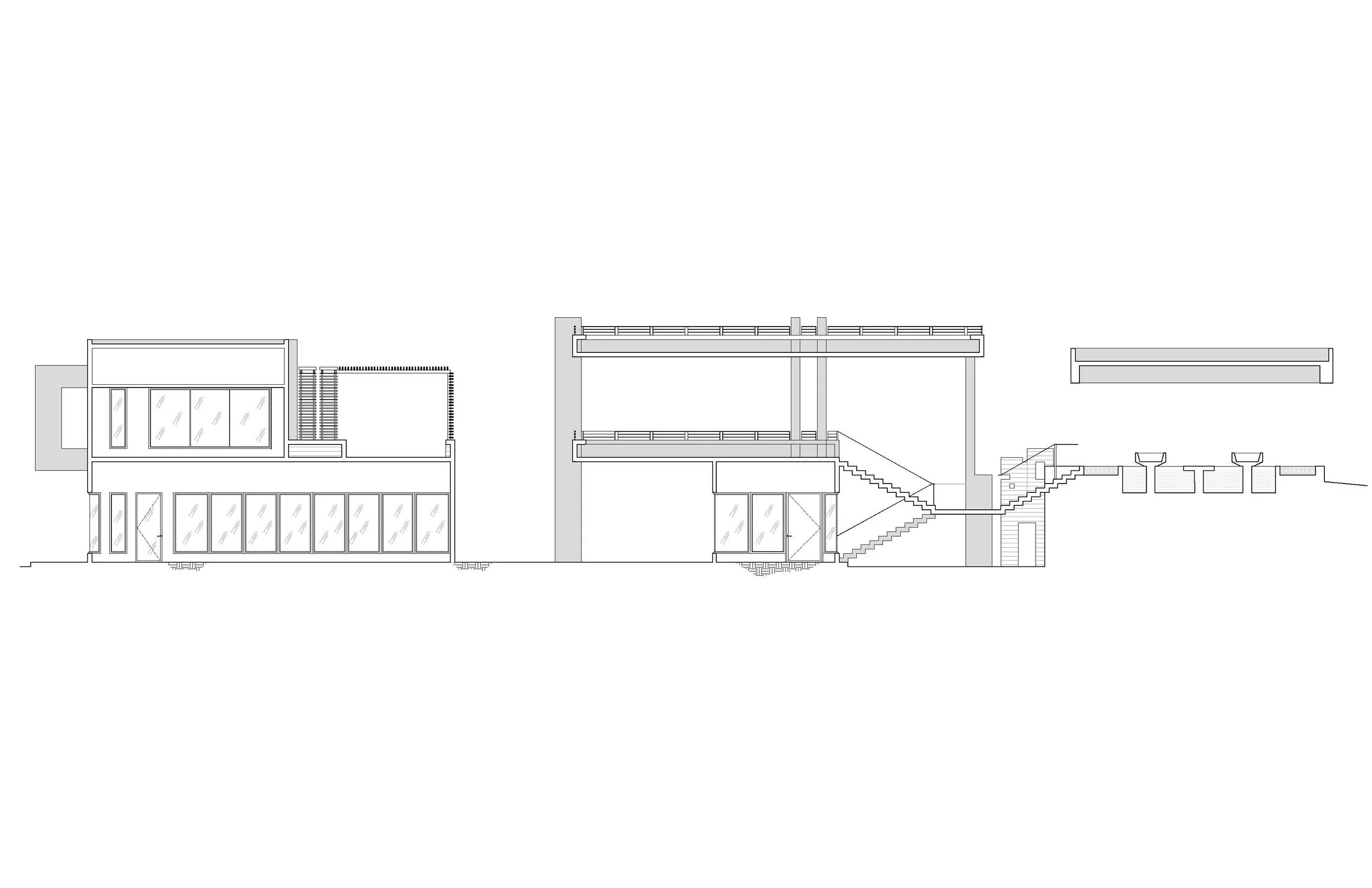 Longitudinal Section C