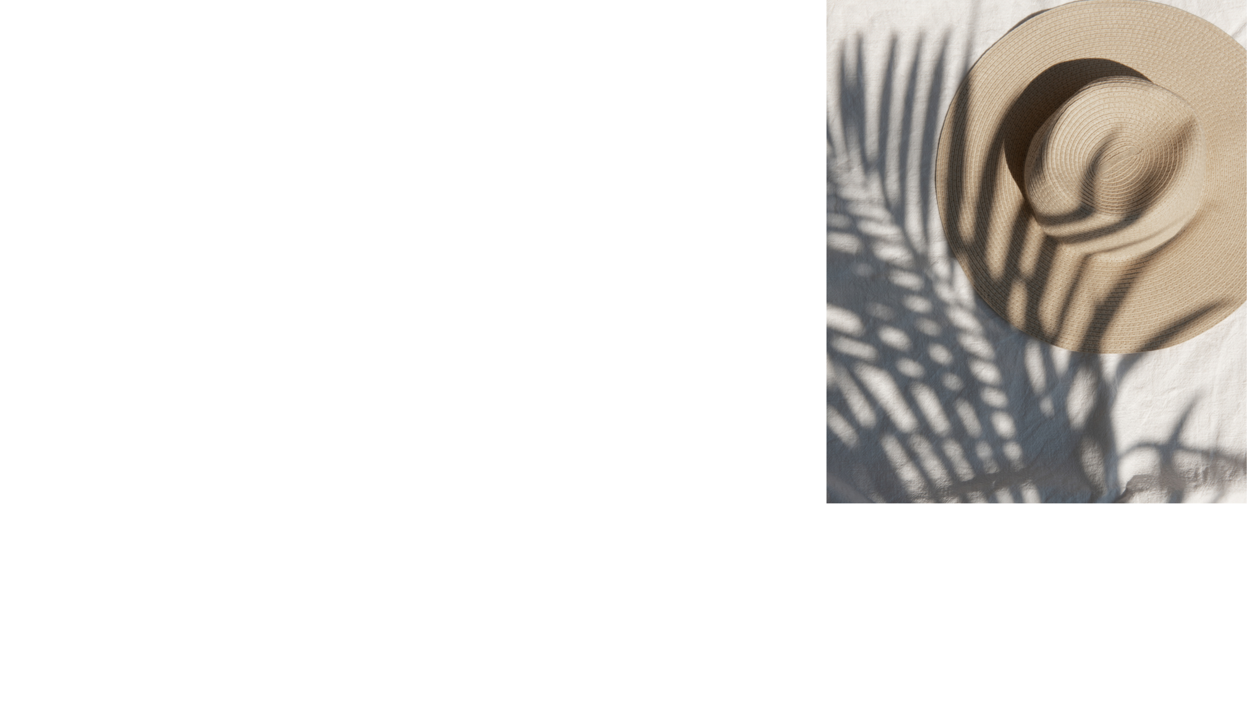 Copy of Influence Bio Banners (2).png