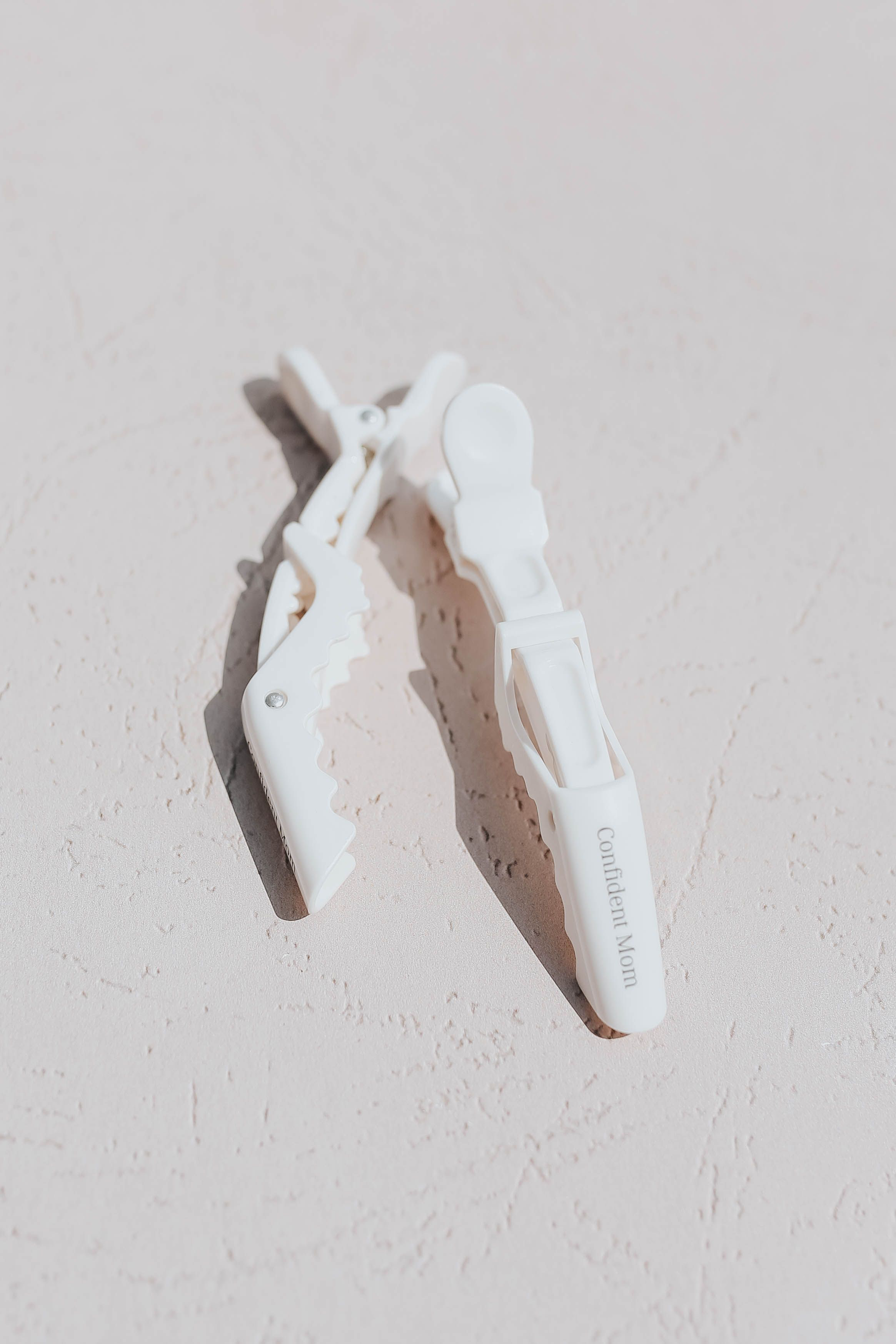 Sectioning Clips 1.png