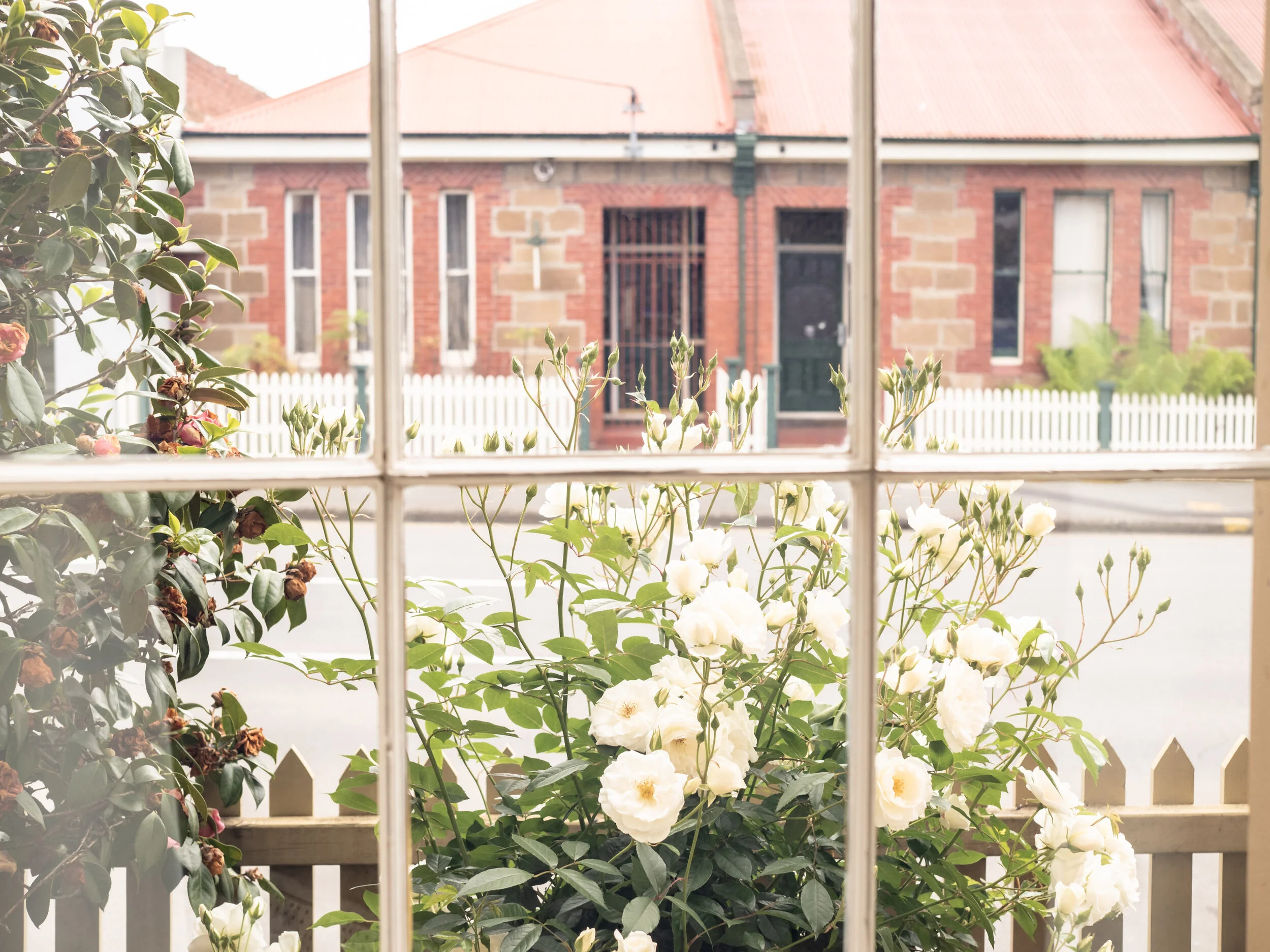 SanctumApartments (41 of 100).jpg