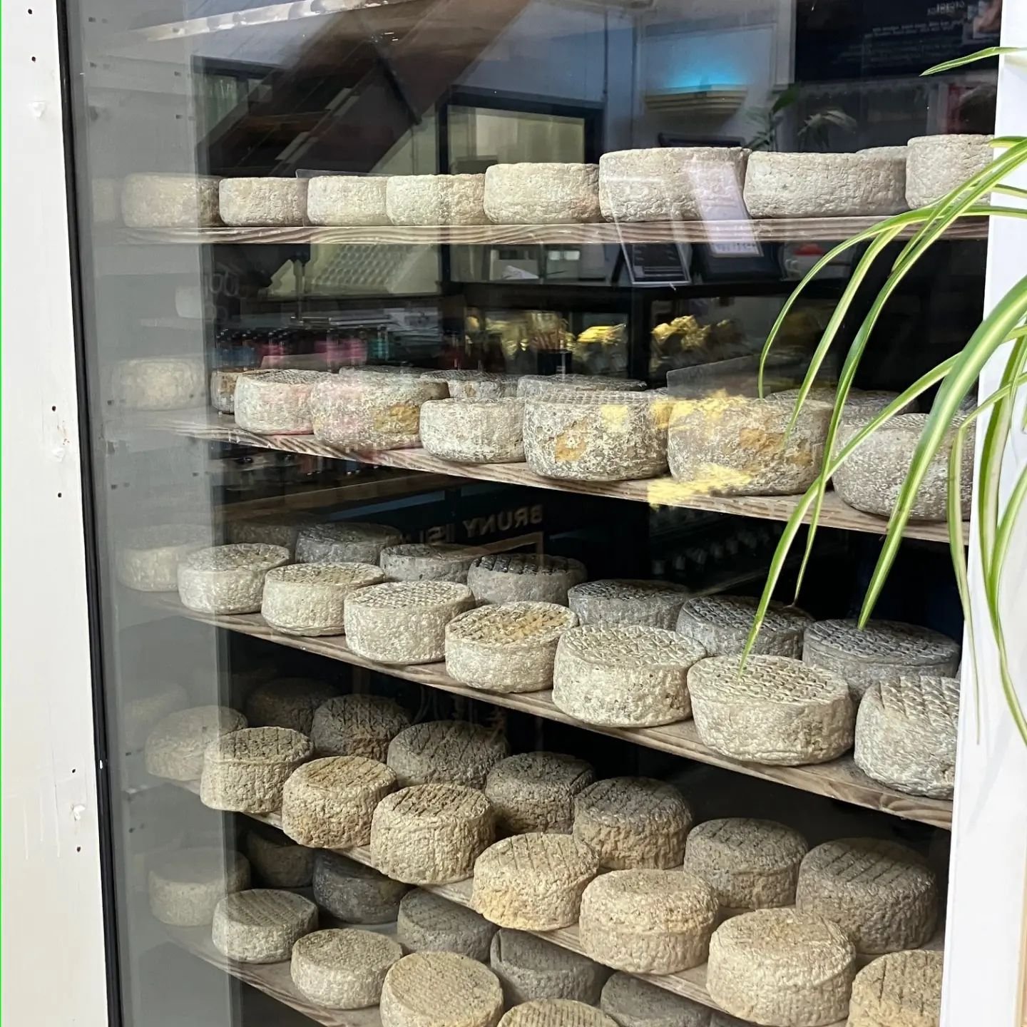 Have you visited @brunyislandcheese? 🍺 
I am partial to not only cheese and beer but have about 127 condiments in my fridge/pantry 🙈
Plussss I know an upcoming Airbnb on Bruny 😉

#brunyisland #shoplocal #comedownforair