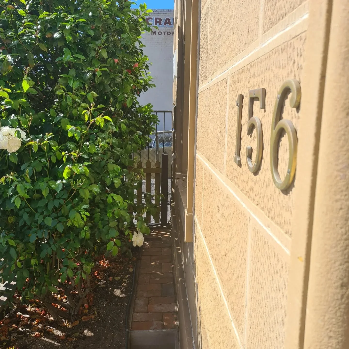 Guys if you book your 2026 trip now, it's basically free because you're using your 2025 money 💰