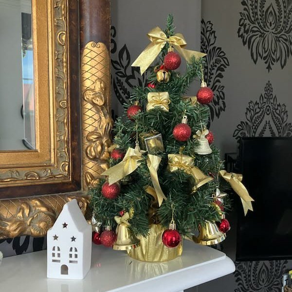 🎄✨ Got Christmas sorted? What about 2026? ✨🎄
Booking's are open now!
When are you planning a trip to TAS.. Easter, Dark Mofo, Anniversary, or just a getaway?

#ChristmasSorted #HolidayGoals #SleighTheDeals #BookEarly #Travel2026 #FestiveFeels