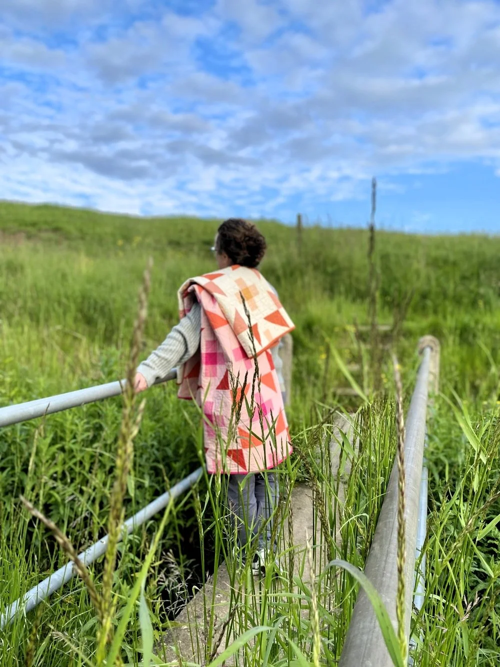 Bridge (resized).jpg