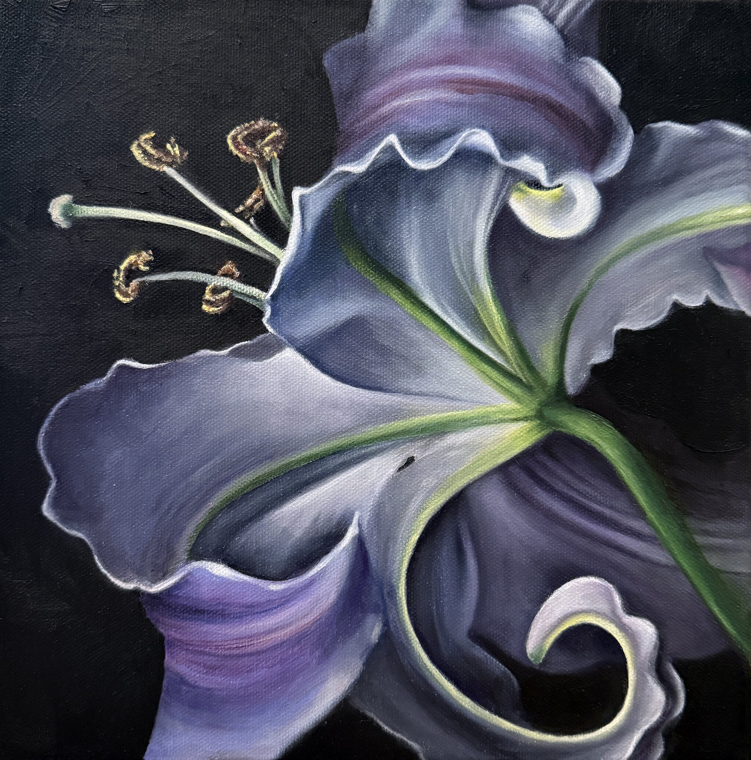 Her Underside: Purple