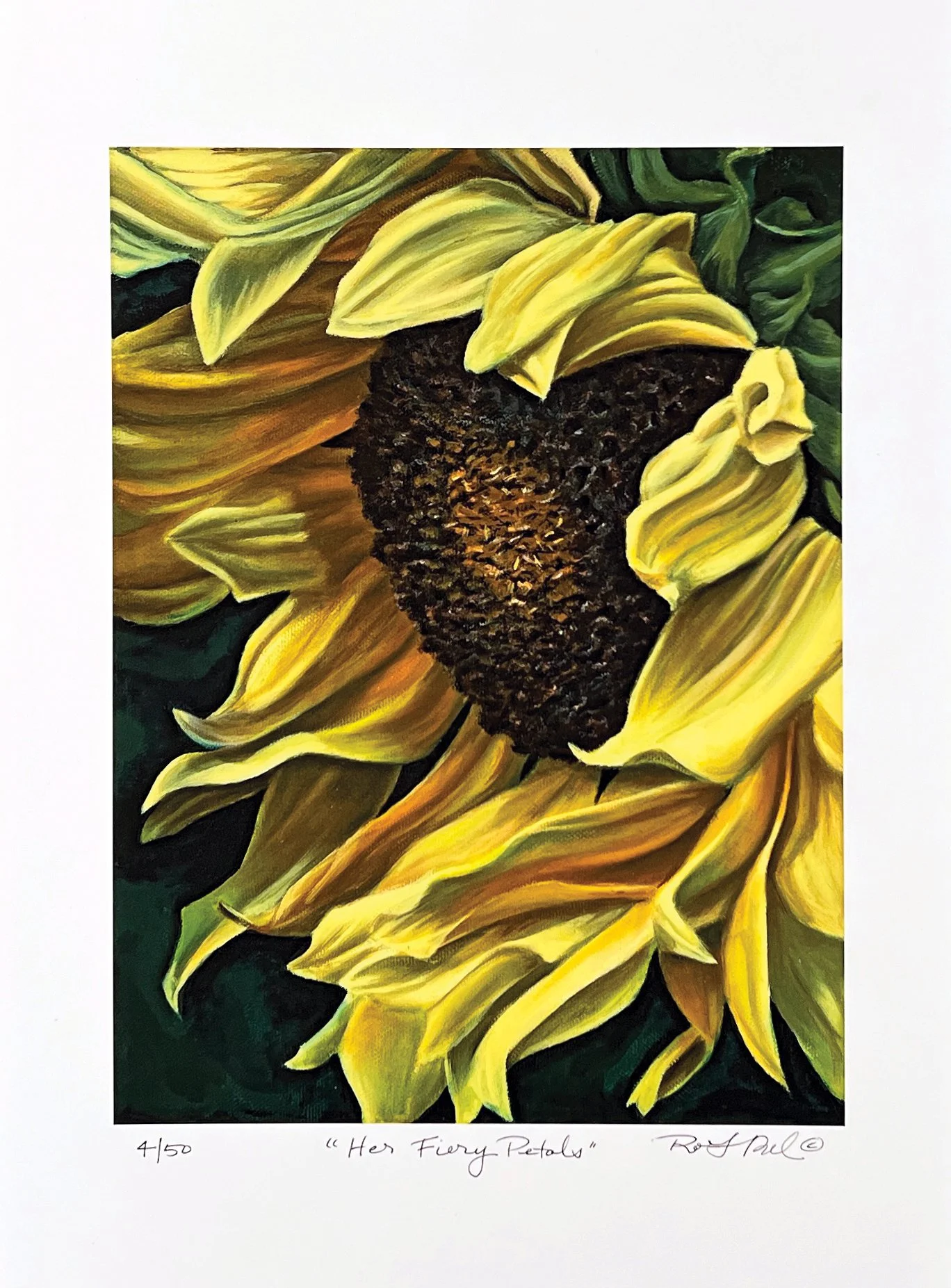 SunflowerGiclee.jpg