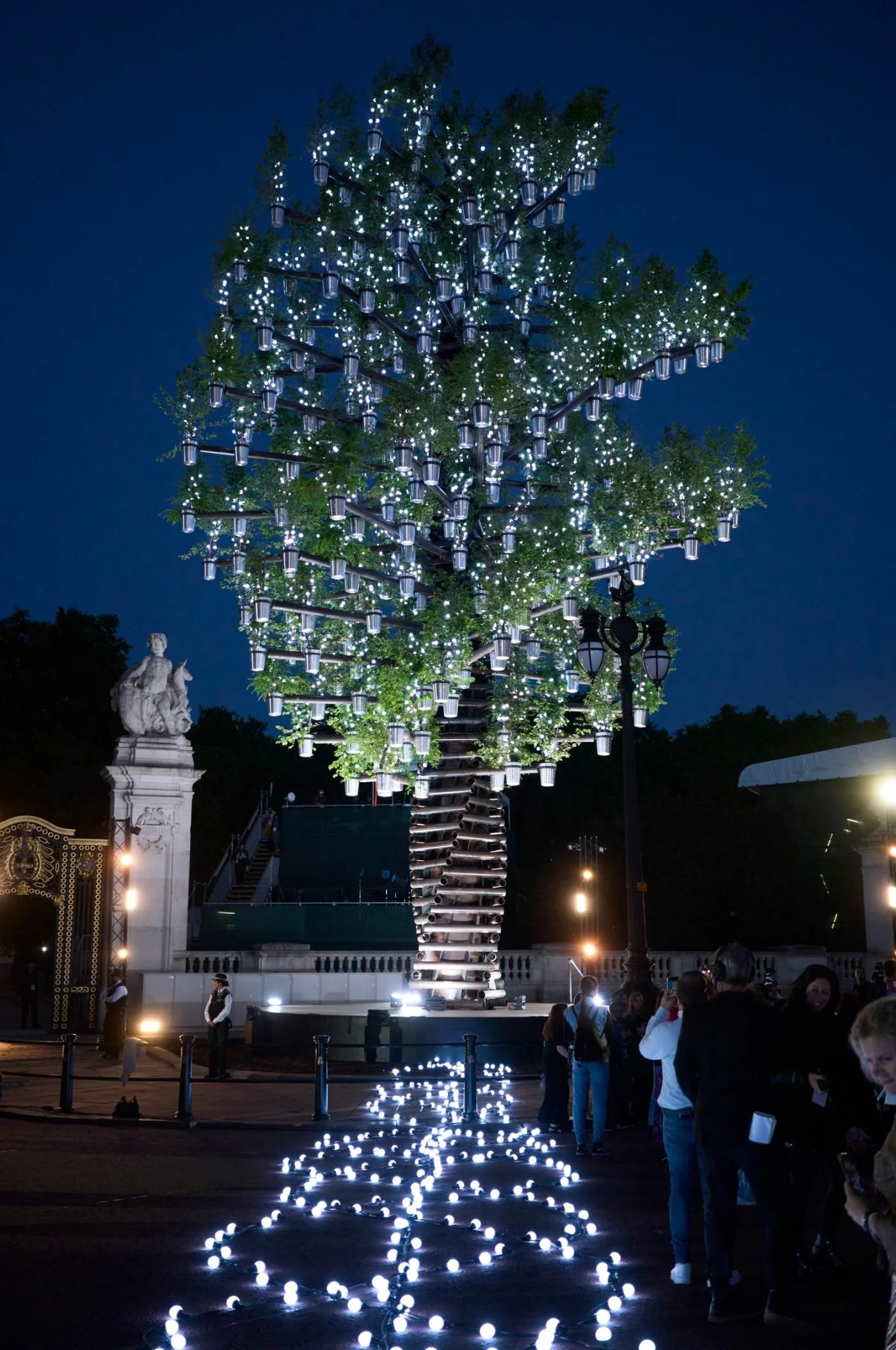 A tree, an award, a very special legacy