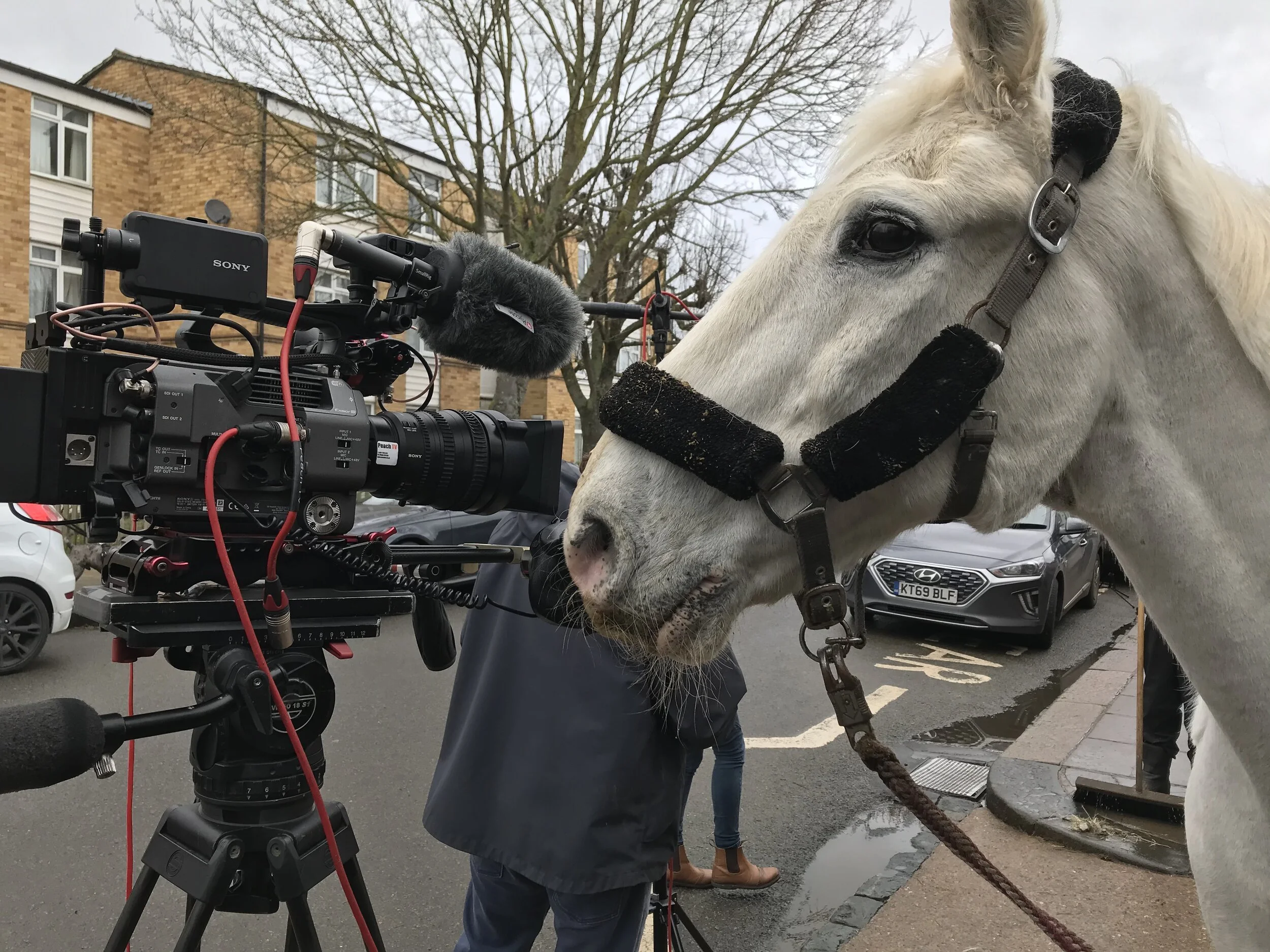 Prodney’s Blog: Induction programmes…and an awful lot of boxes to fill