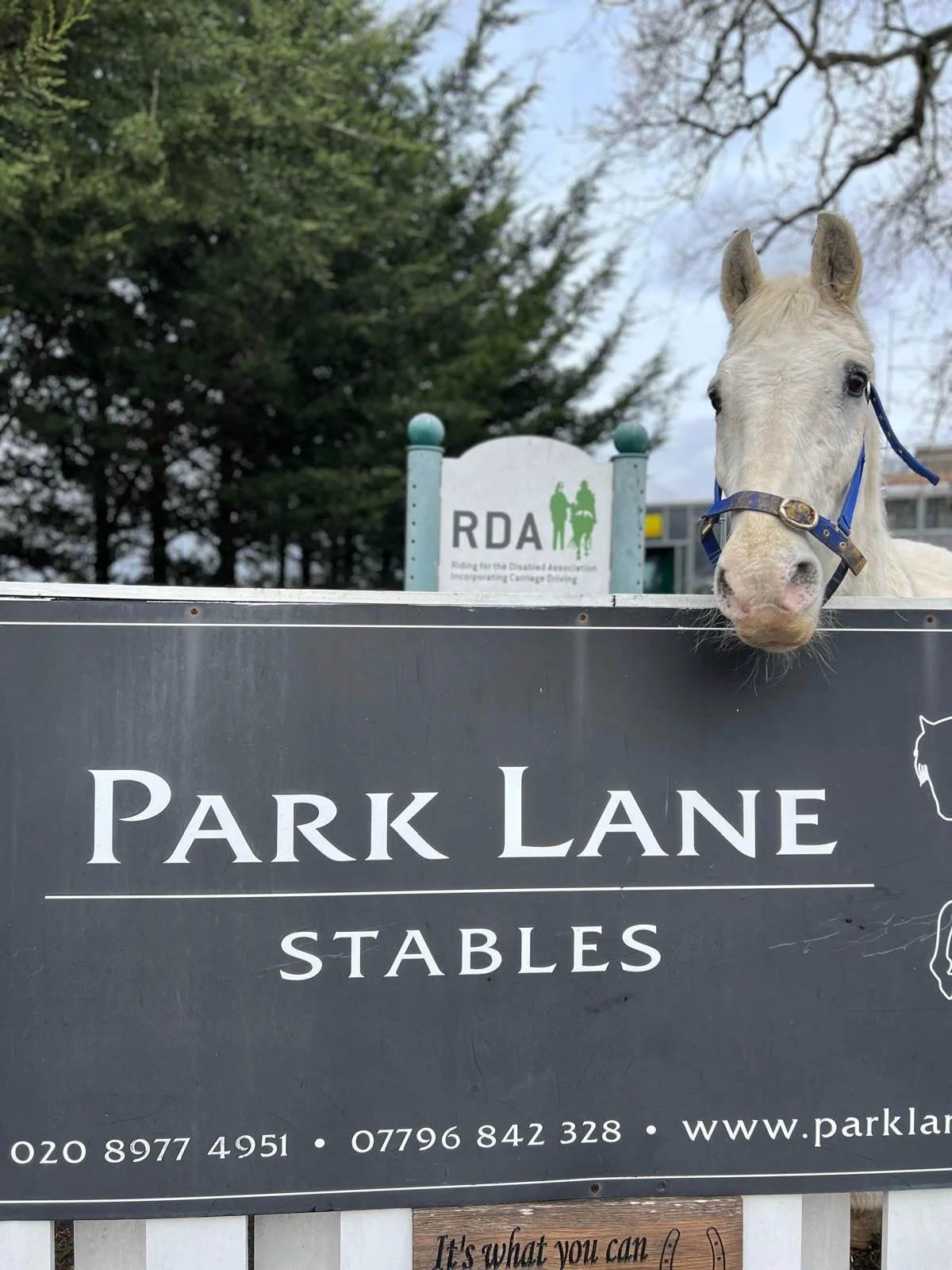 Adjusting to a world without Prodney – with your help