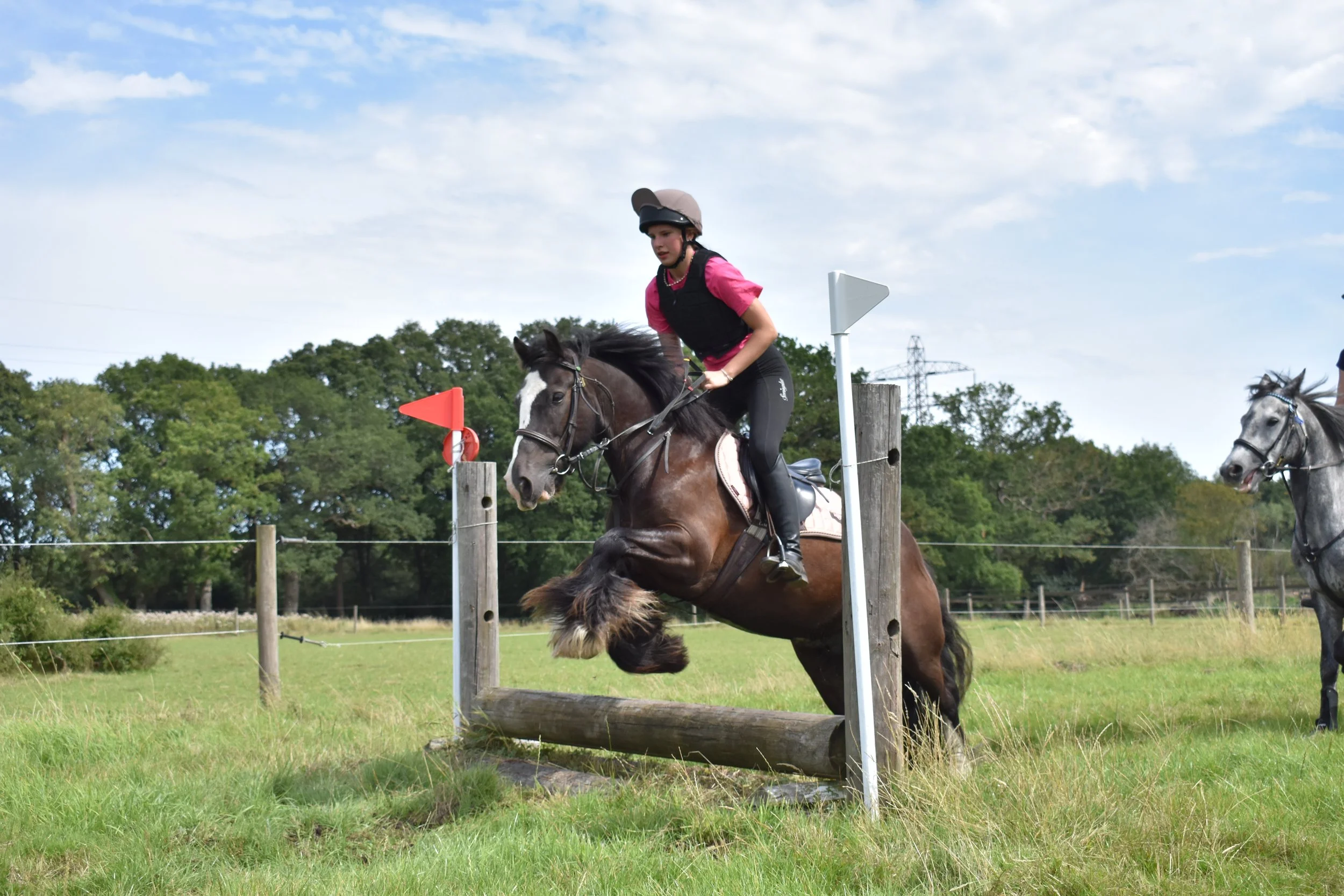 The horse’s mouth blog: Wait, you want me to do this month’s blog?