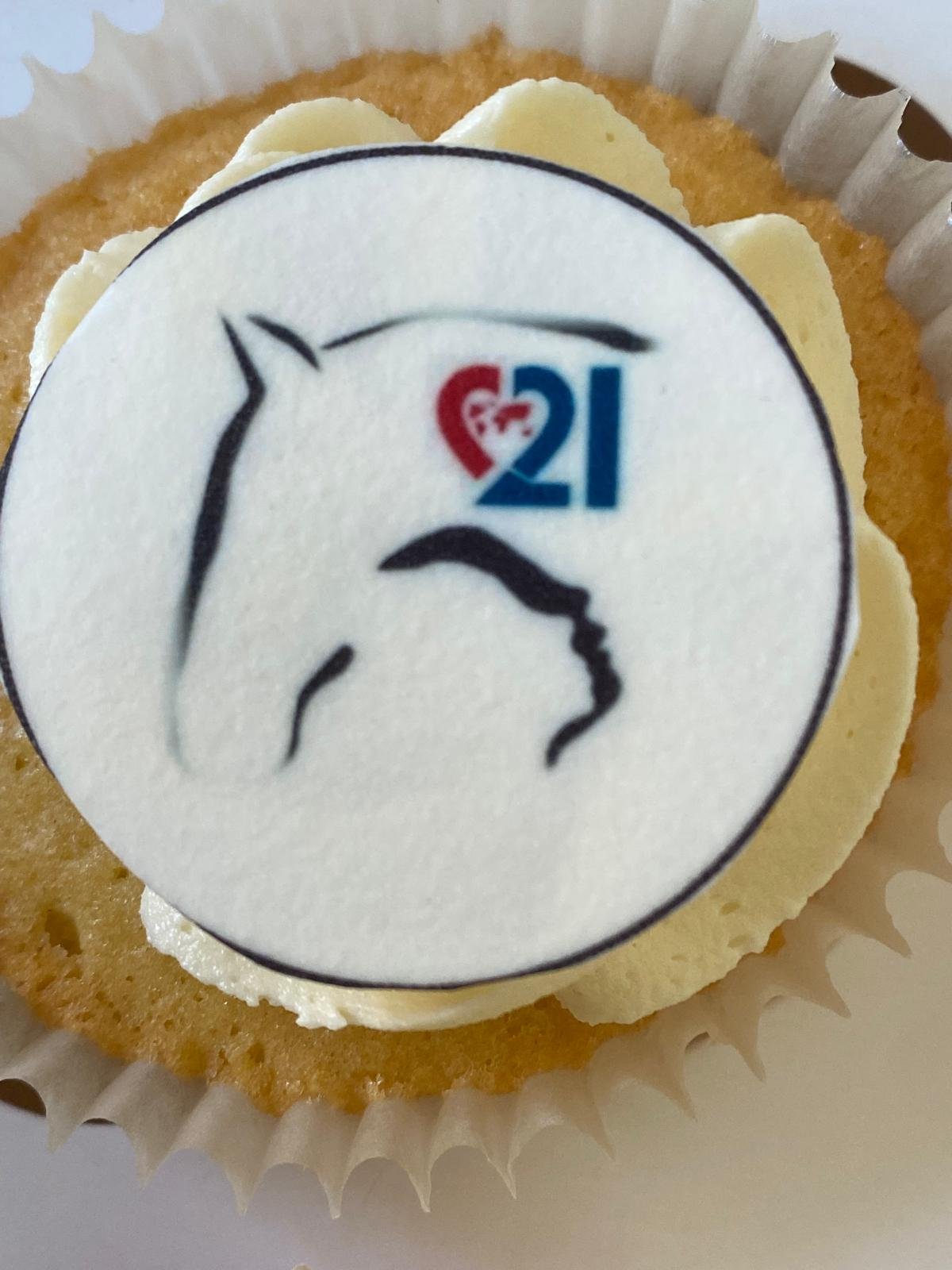 WhatsApp Image 2026-03-25 at 10.35.16.jpeg