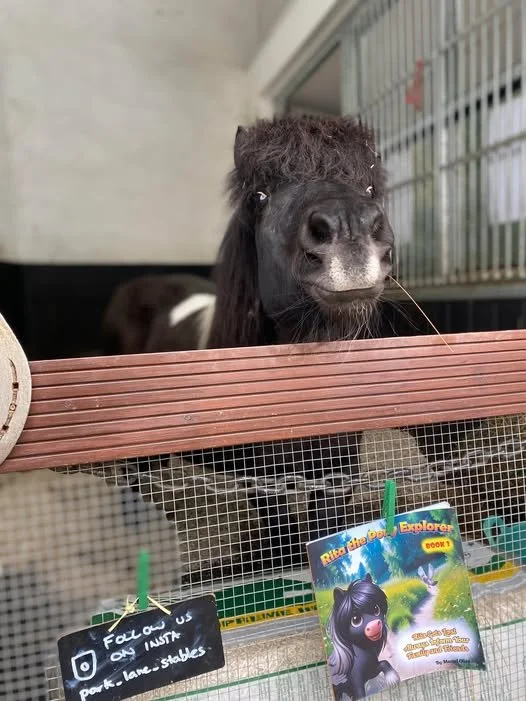 The horse’s mouth blog: hello from the cuddle door!