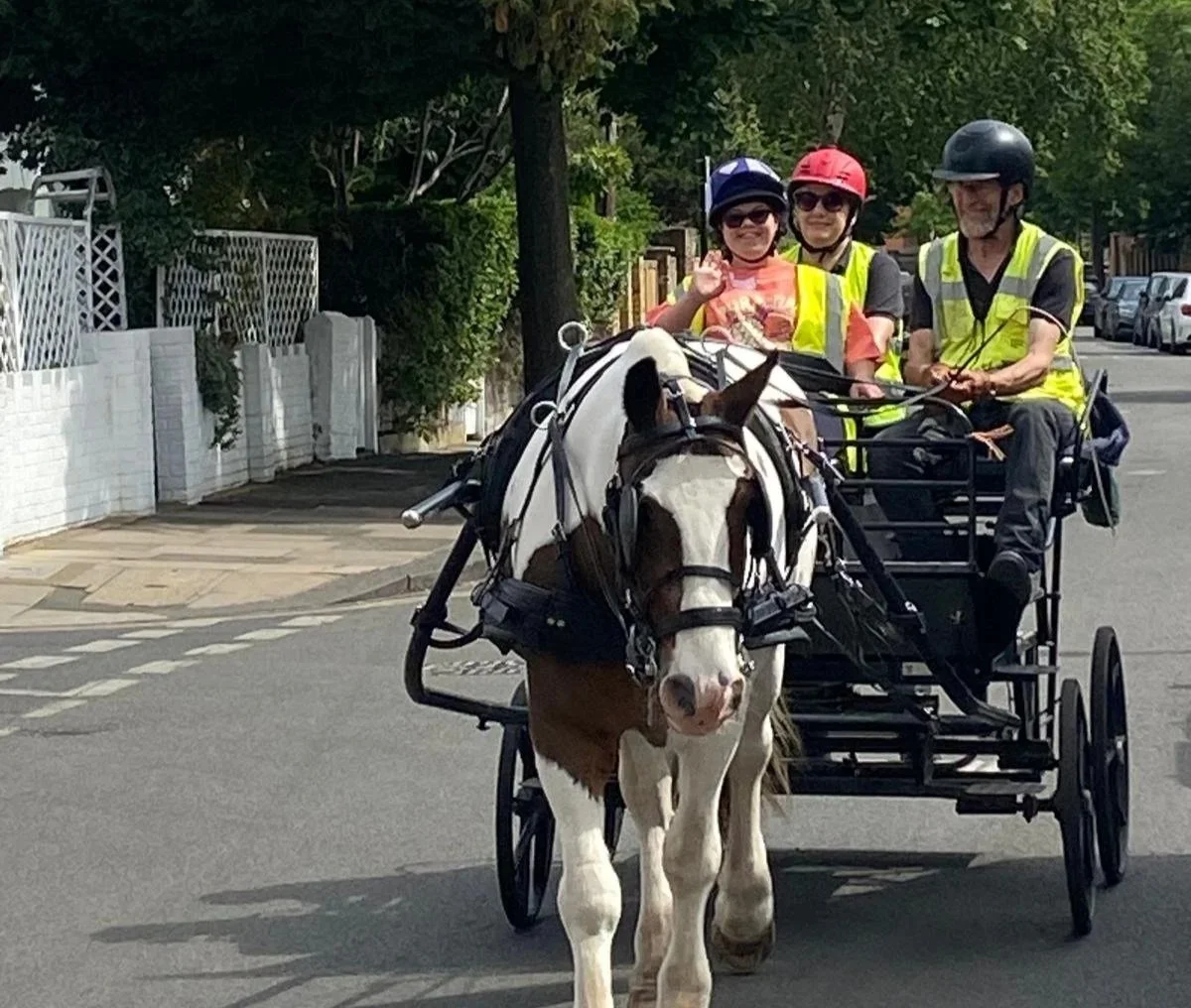 The horse’s mouth blog: I’m loving being back between the shafts again!