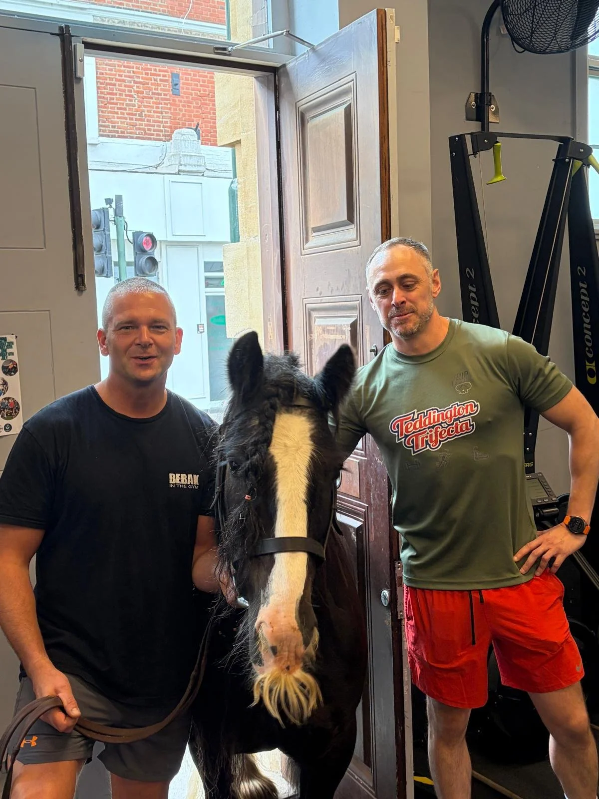 The horse’s mouth blog: every fundraiser is better with a pony