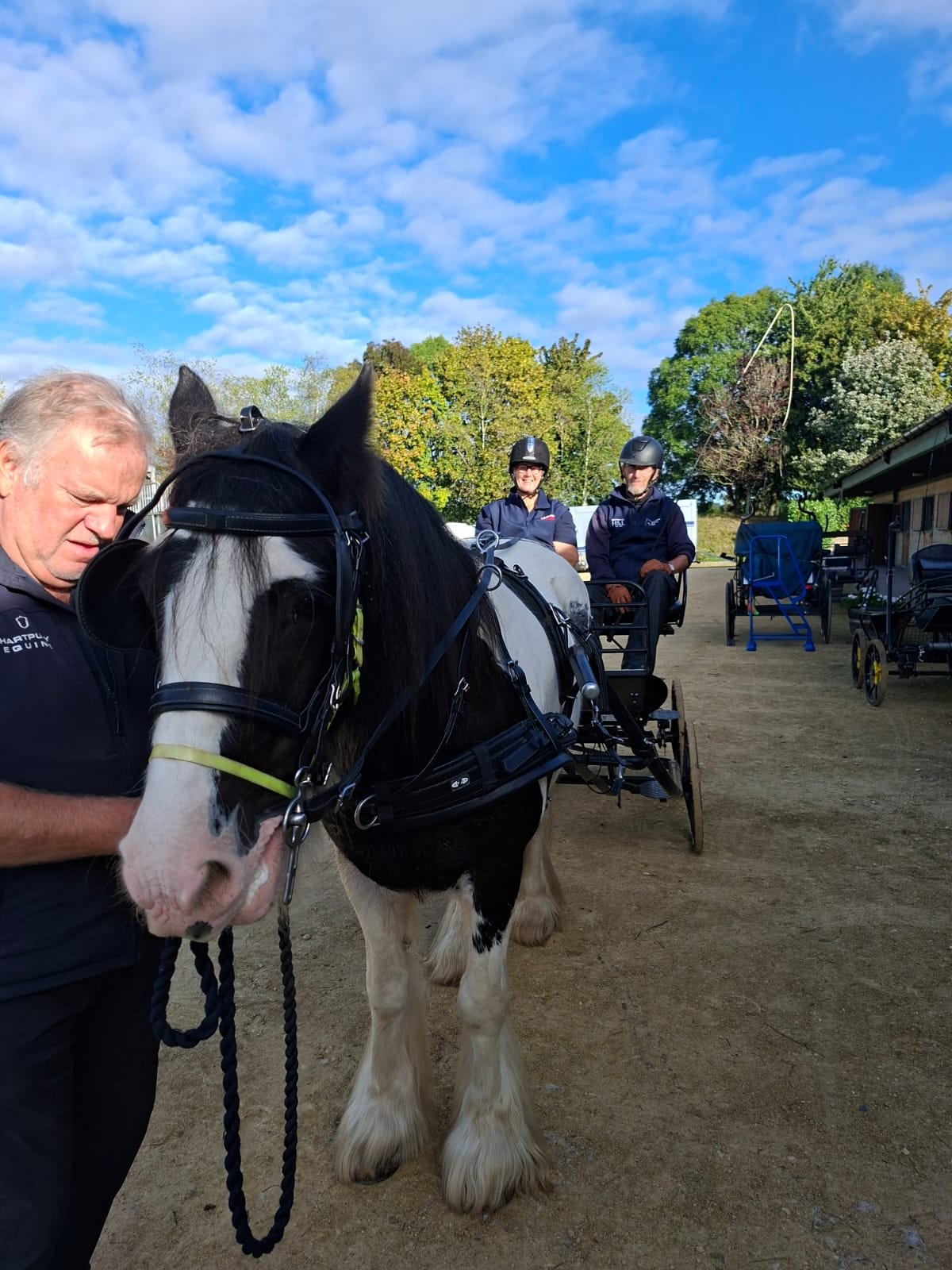 What’s involved in training to be an RDA carriage driving horse?