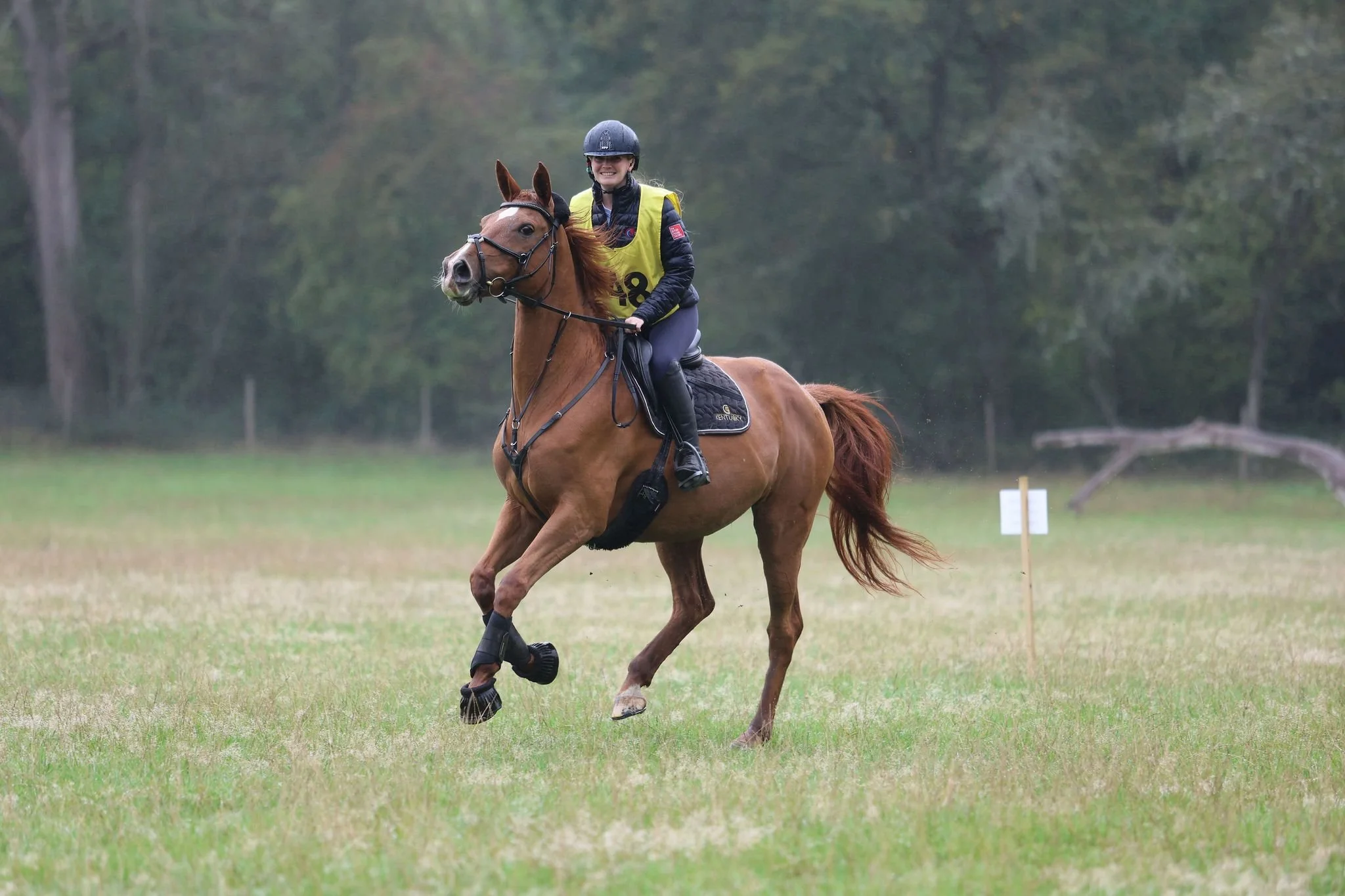 A woman standing next to a golden retriever dog on a platform and a white horse behind her, in front of a gray shed with greenery around, during daytime.