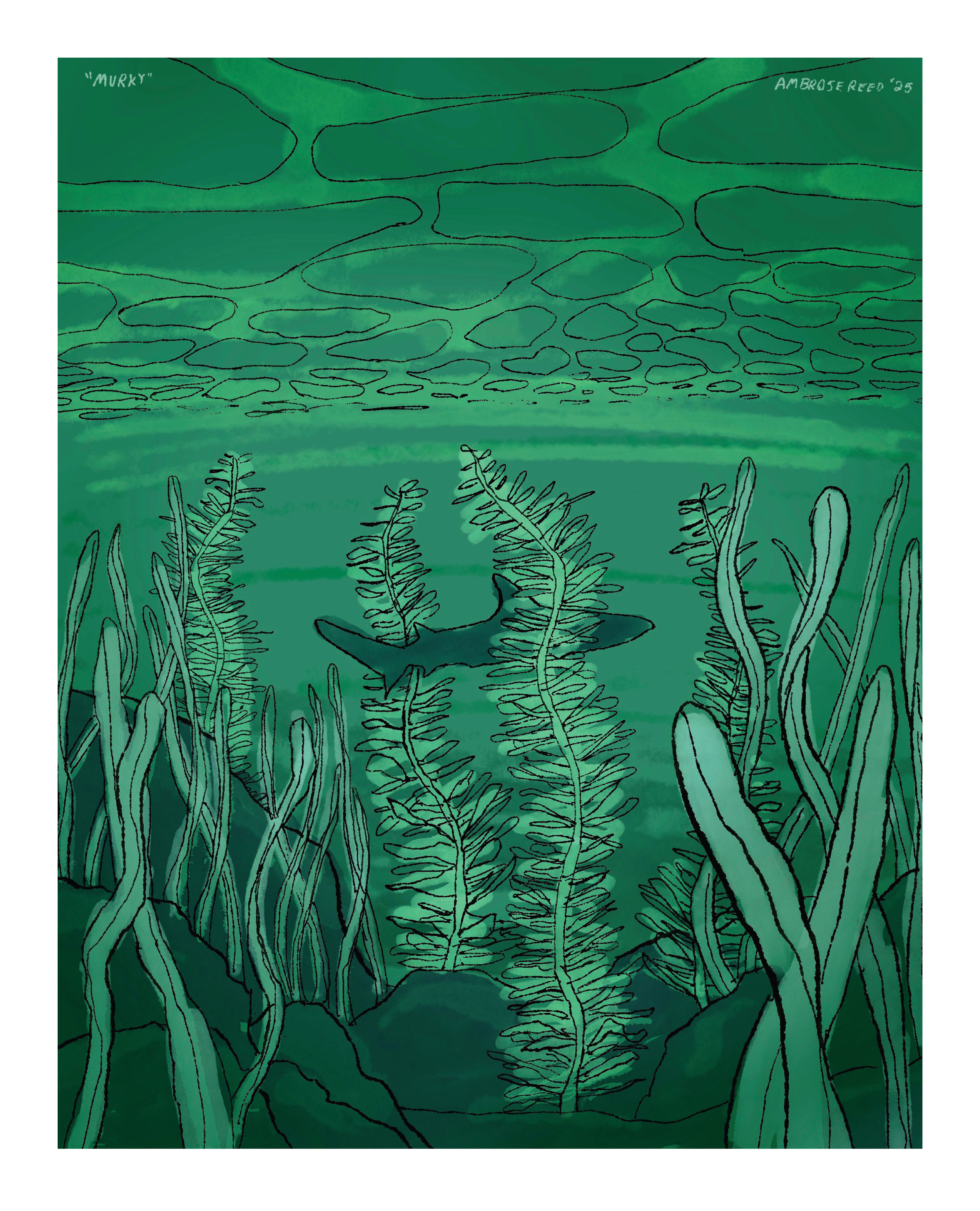 inktober 2025 postcard setups_murky 8x10.png