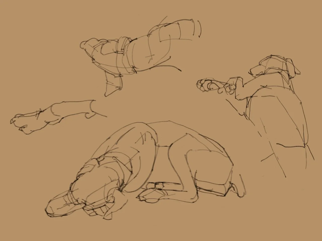 The Doberman Series