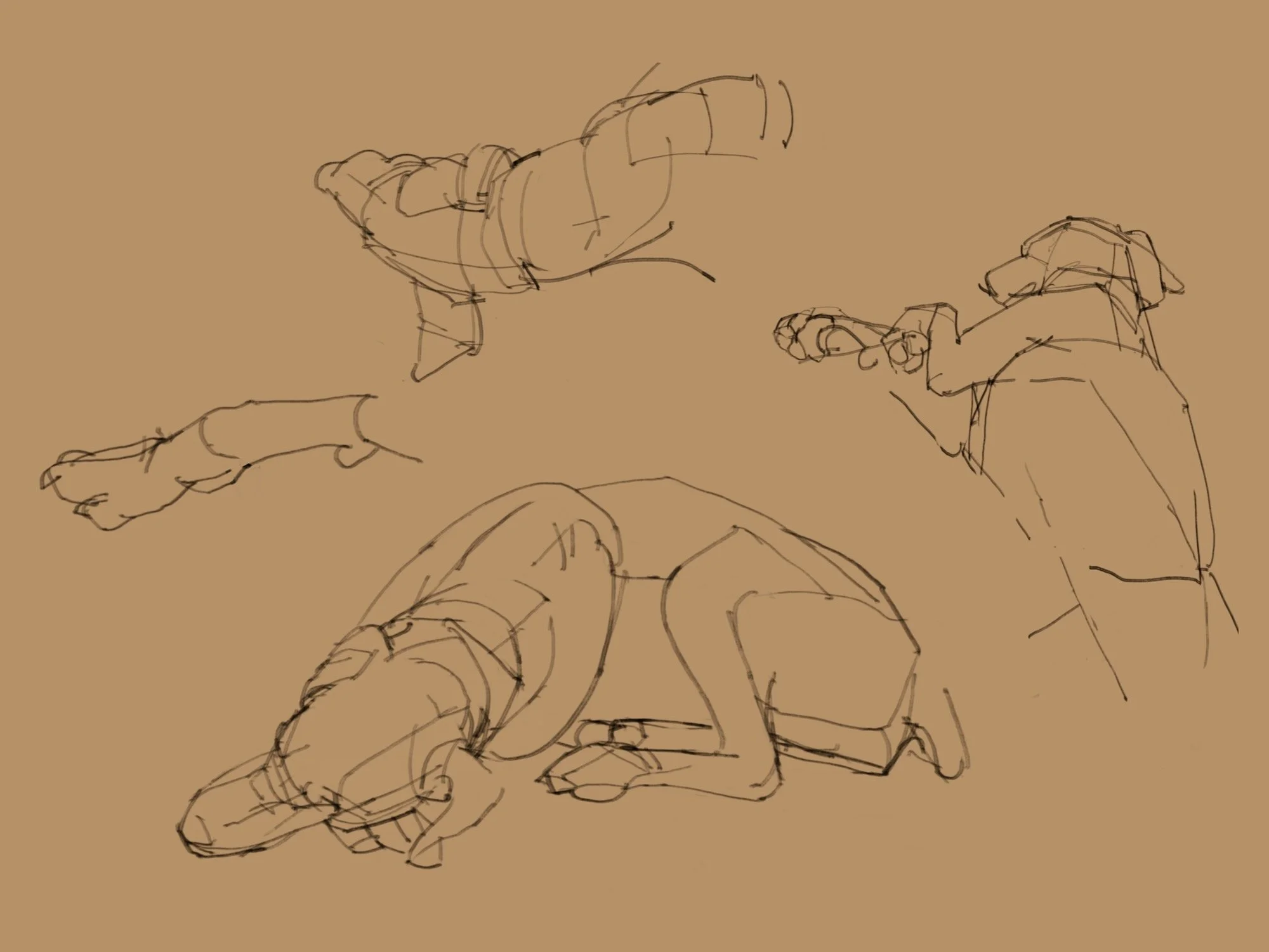 The Doberman Series