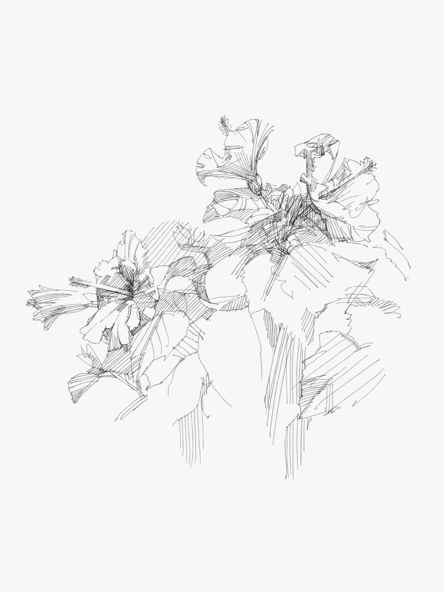 flowers - 1.jpeg