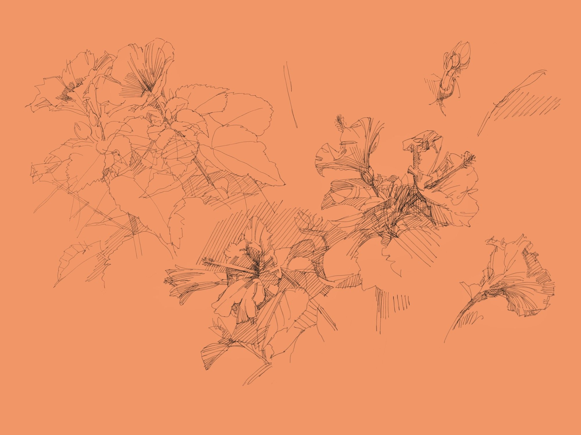 Garden - 3.jpeg
