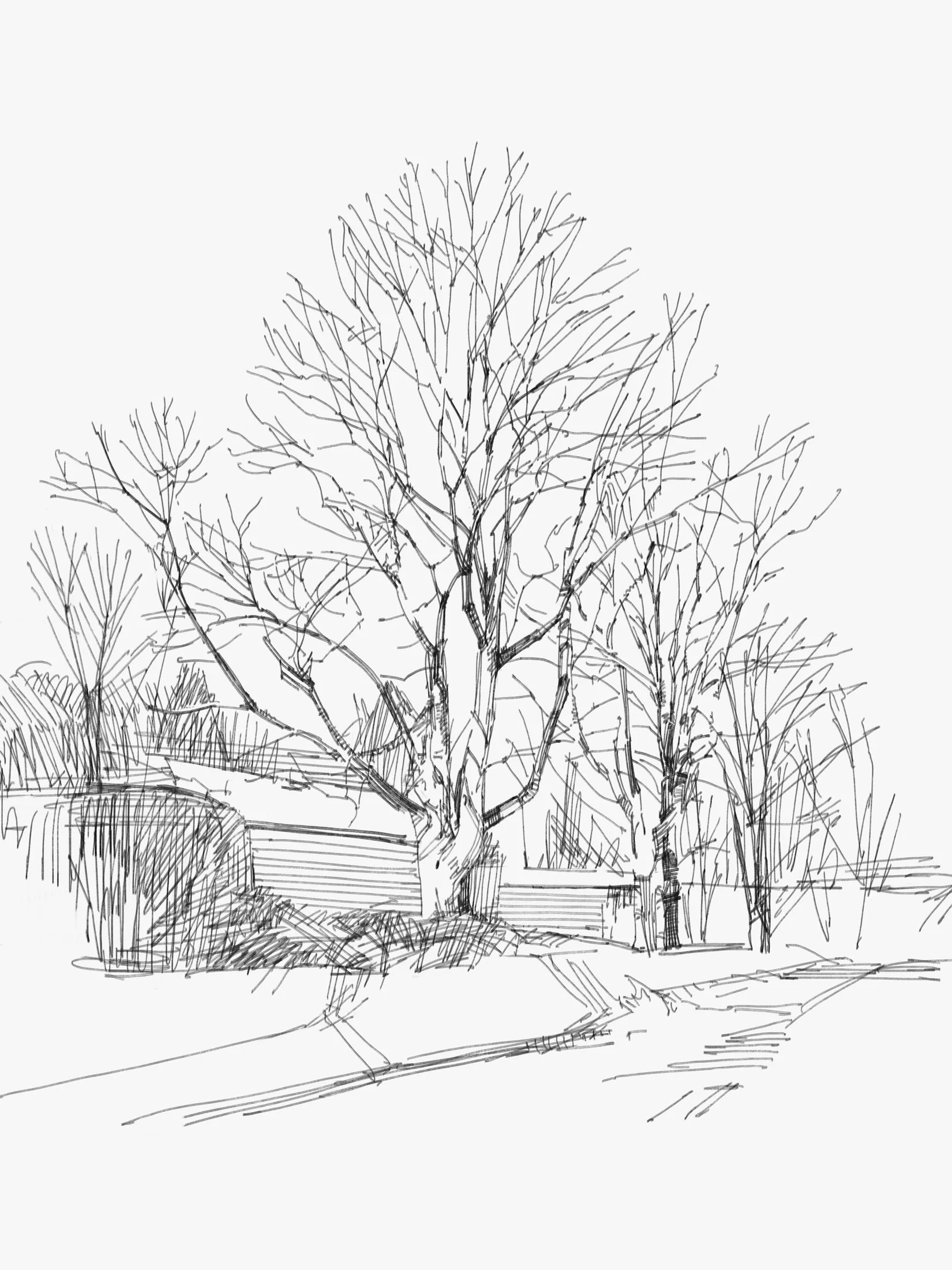 tophetfinal2 - 1.jpeg