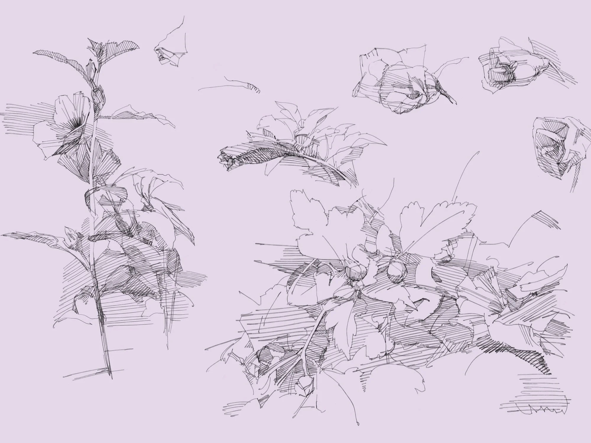 Garden - 6.jpeg