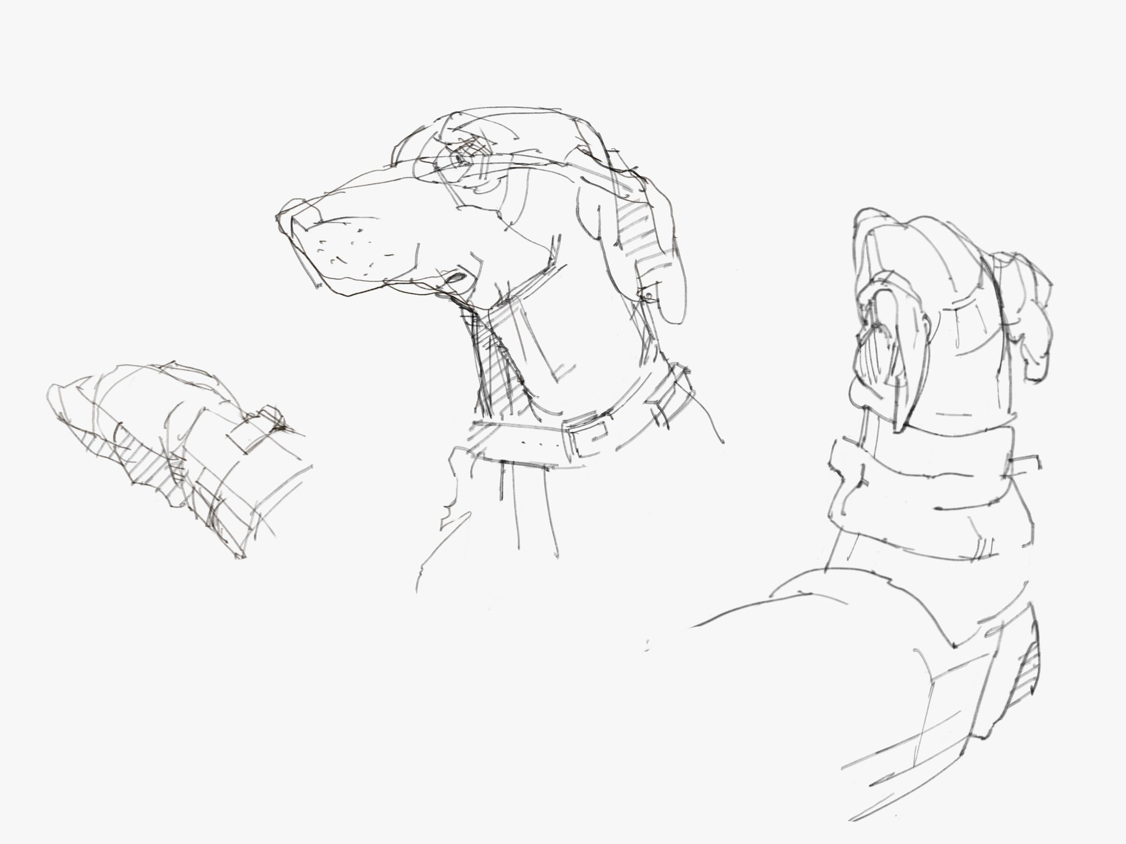 face - 1.jpeg