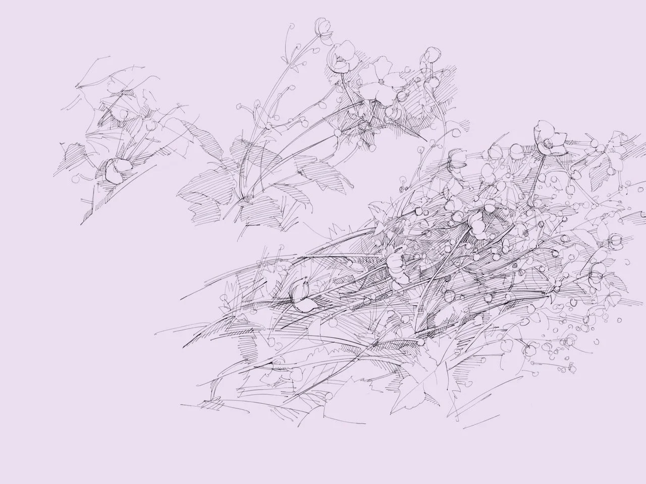 Garden Variety
