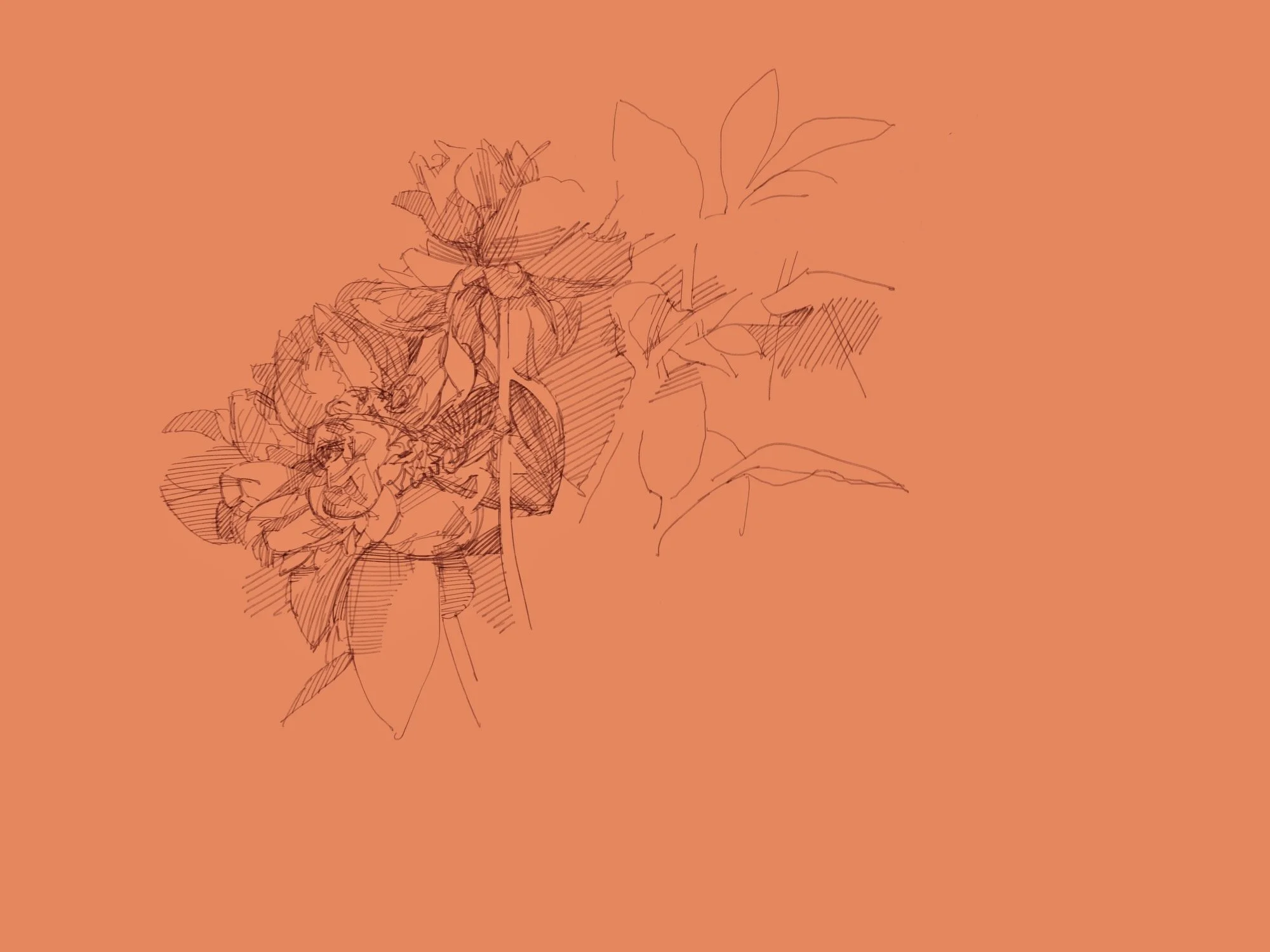 Garden - 8.jpeg