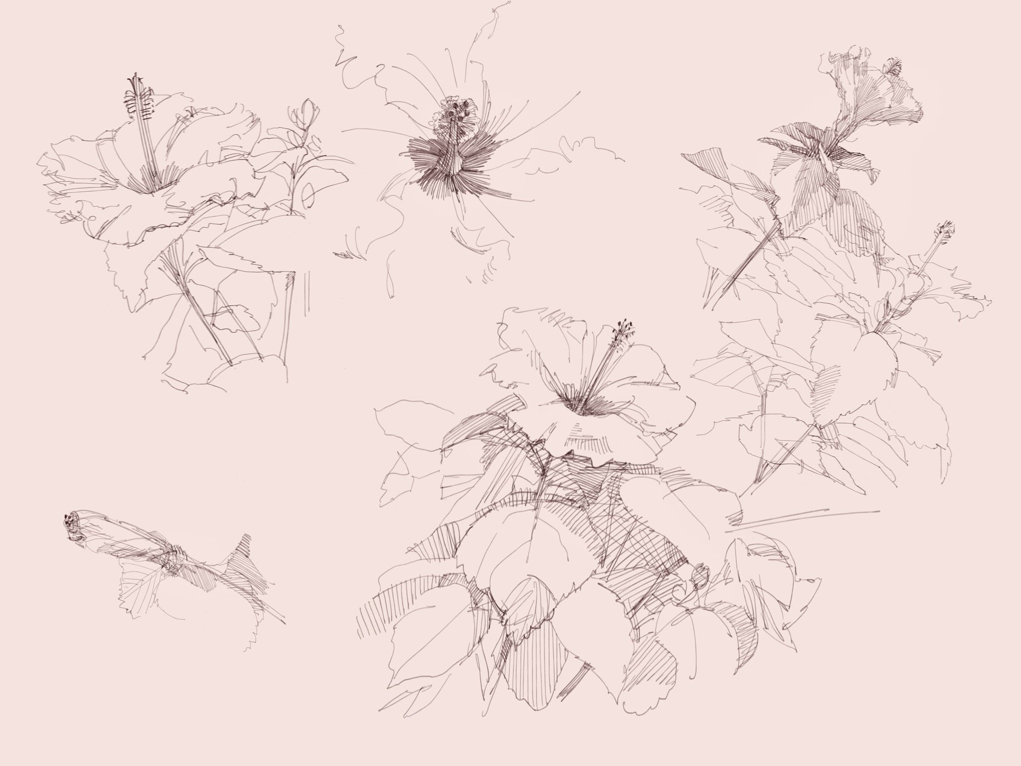 Garden - 4.jpeg
