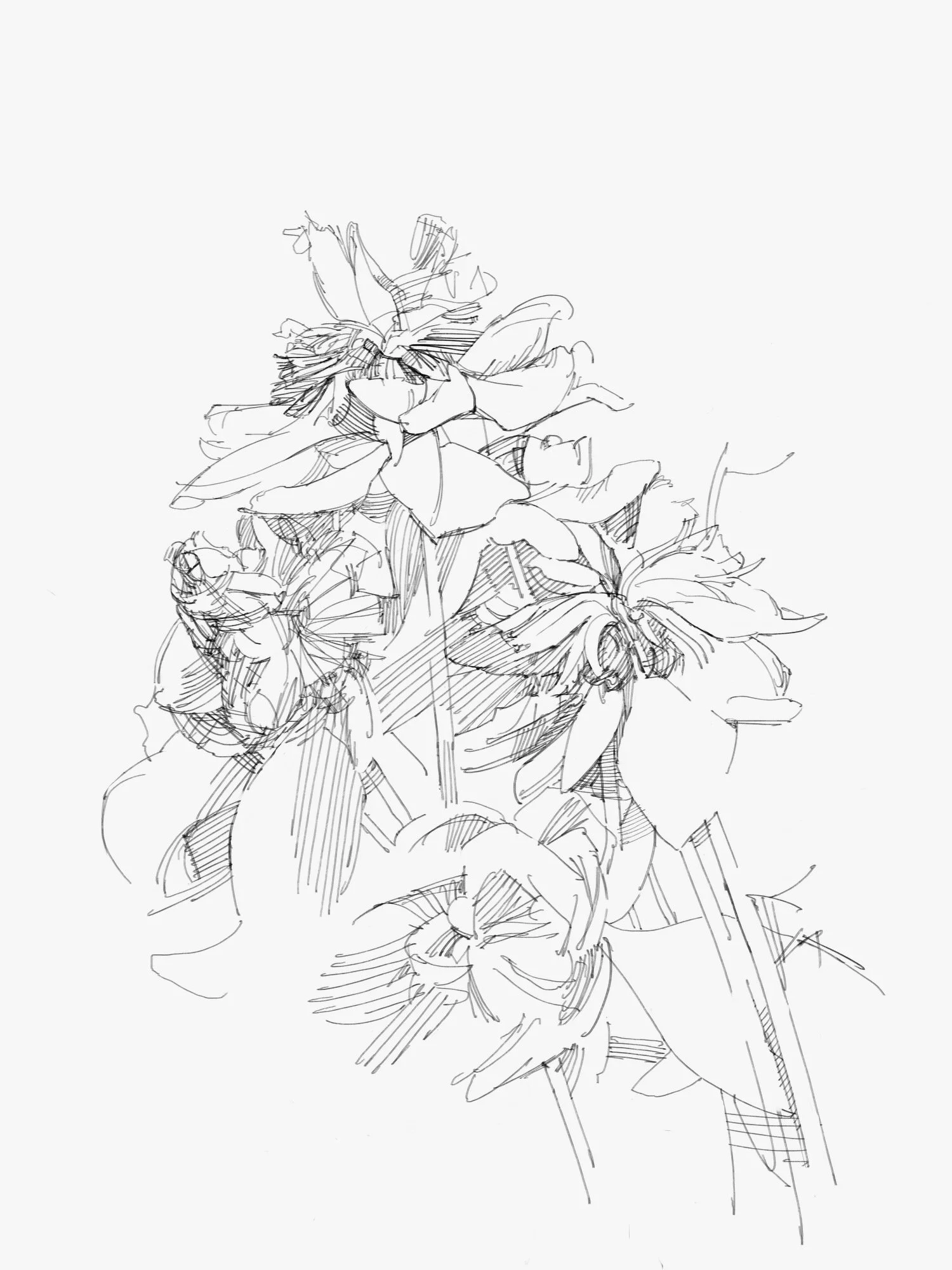 flowers - 2.jpeg