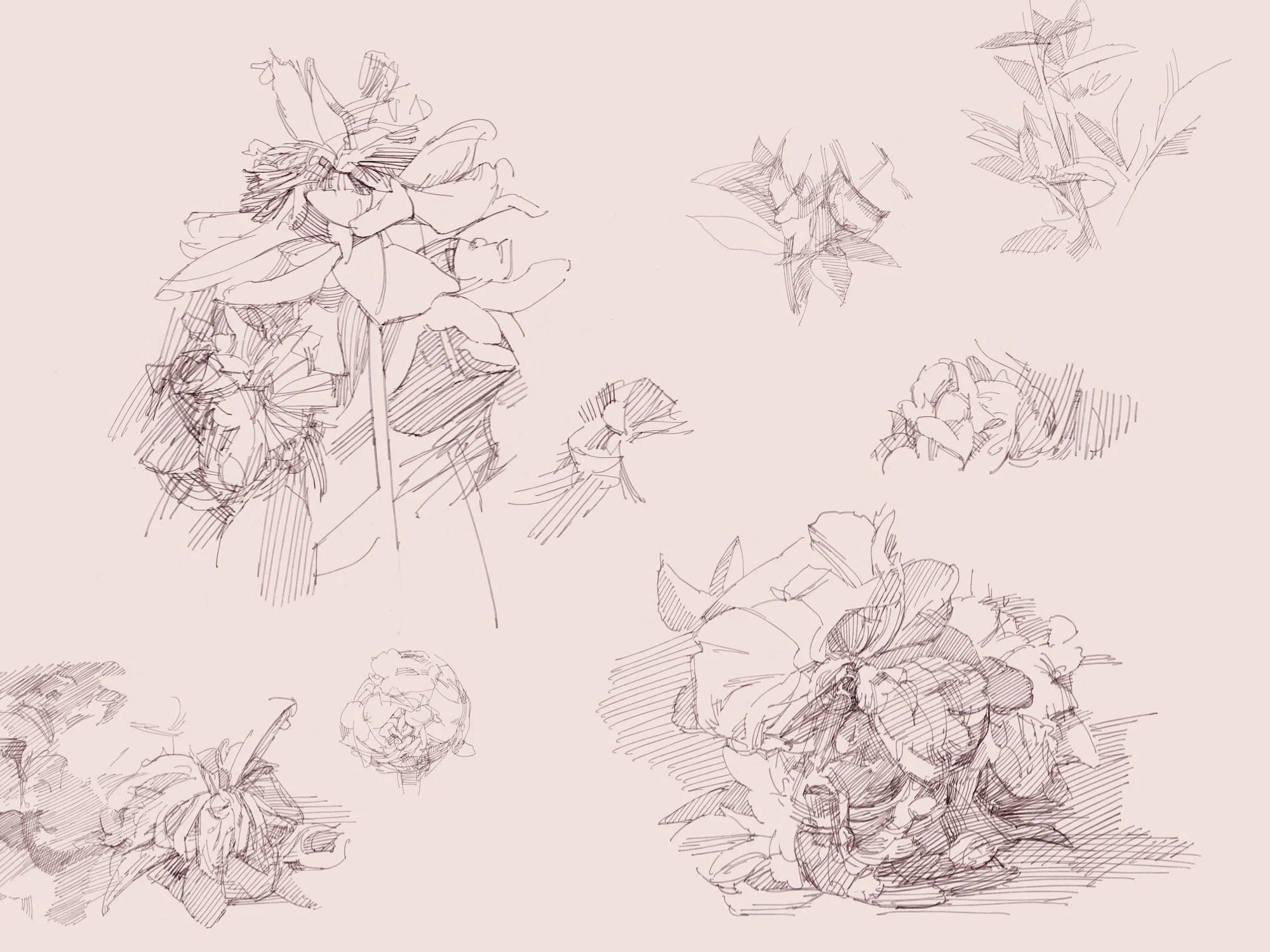 Garden - 9.jpeg
