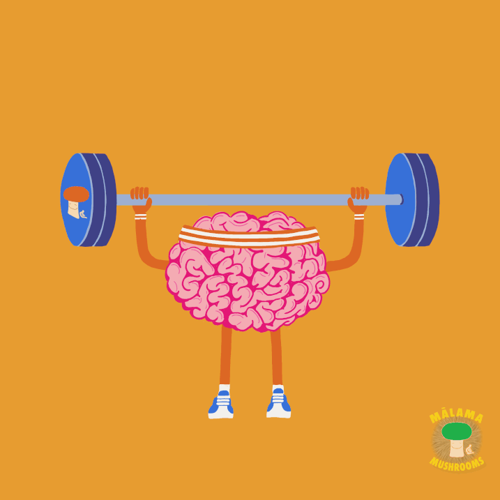 Malama Mushroom Flex Your Brain.gif