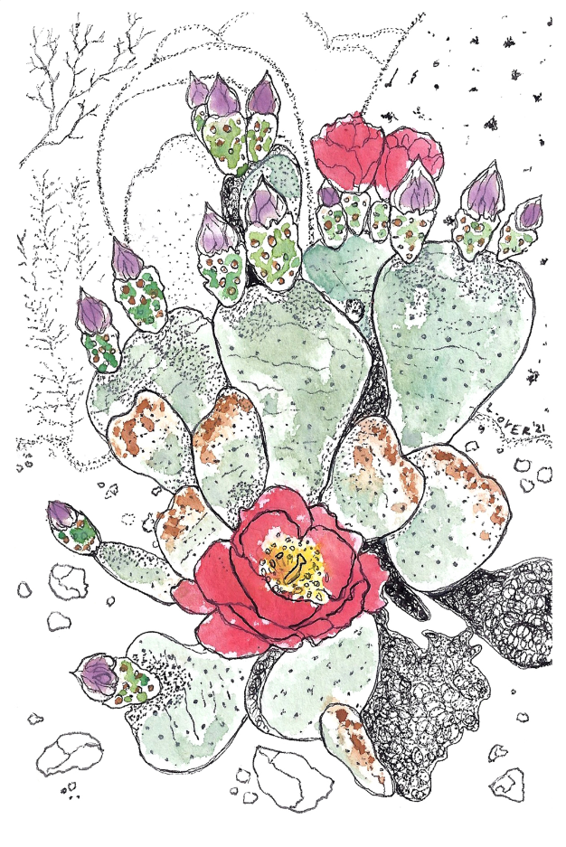 beavertail cactus.png
