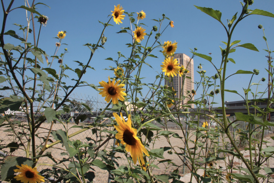 Screen Shot 2026-02-23 at 6.44.30 PM.png