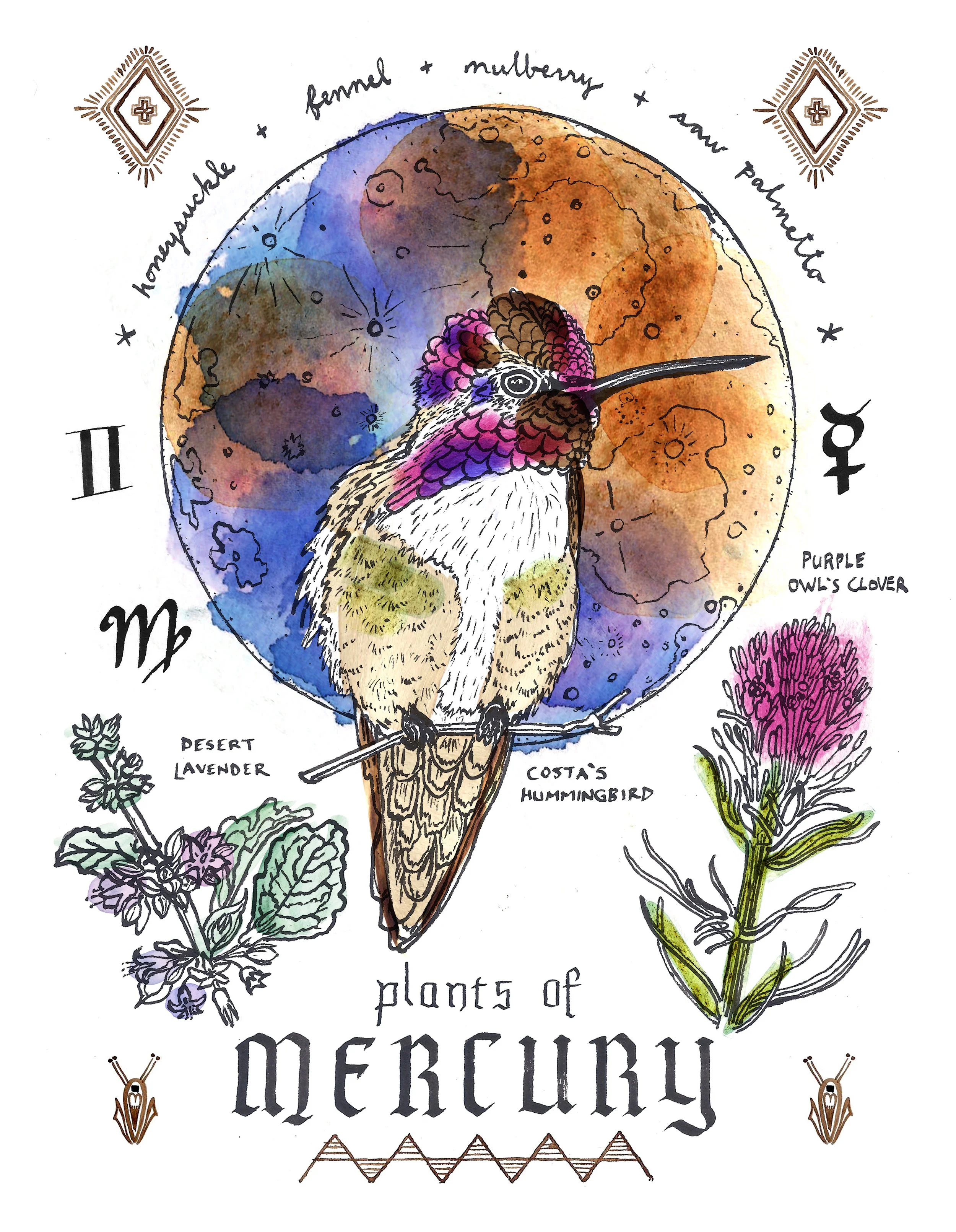 Mercury Humingbird- Plants  Planets print