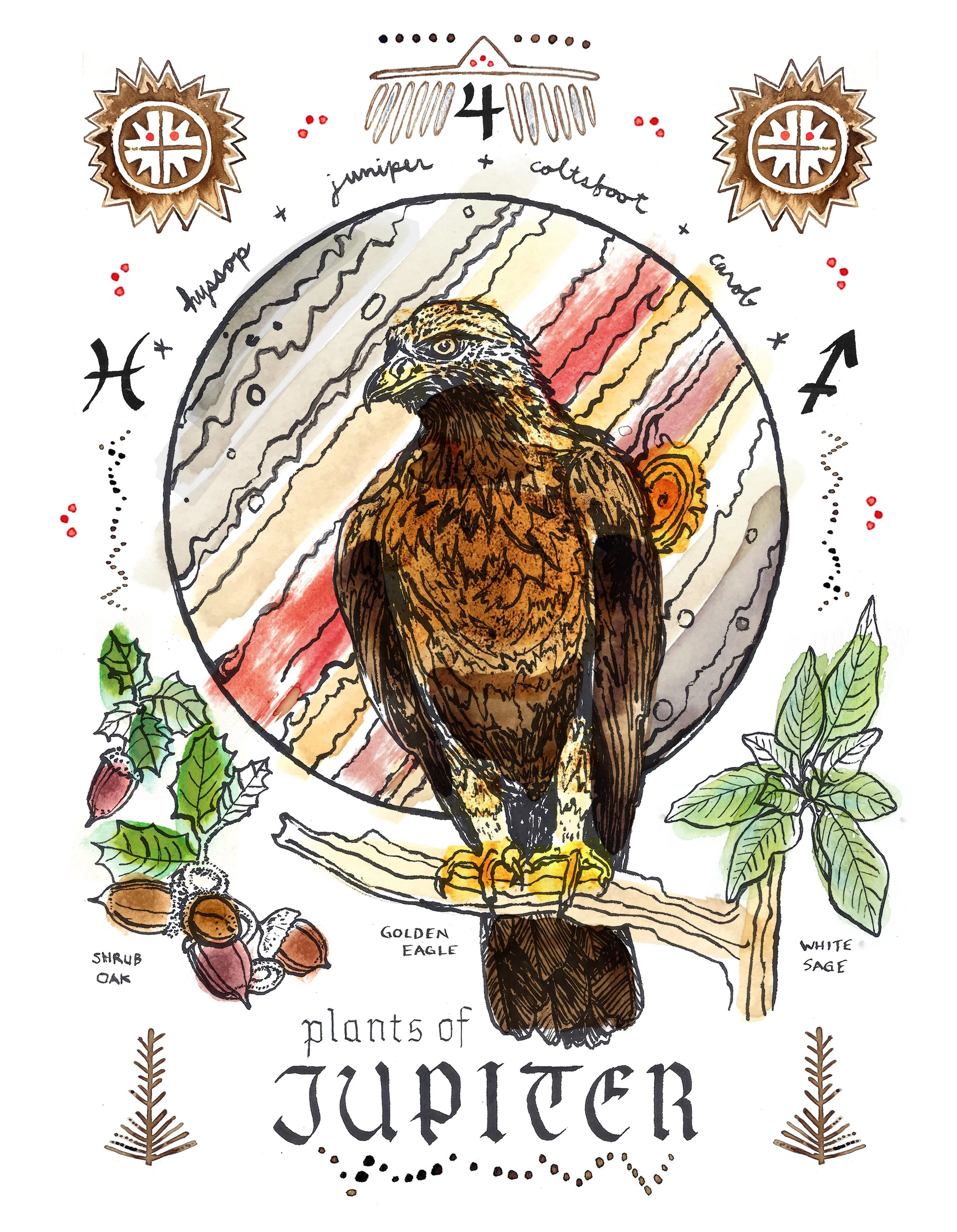 Jupiter Eagle- Plants & Planets series