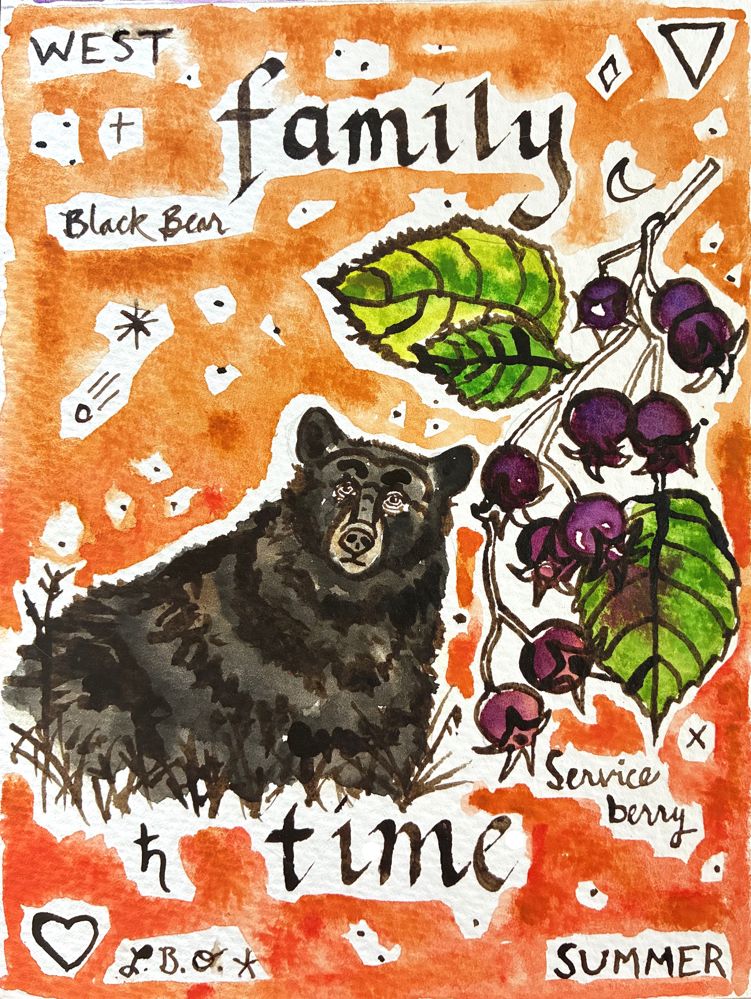 Serviceberry Black Bear.jpg