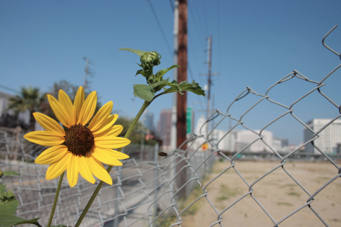 Screen Shot 2026-02-23 at 6.44.46 PM.png