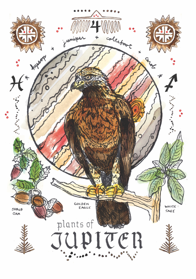 Jupiter eagle.png
