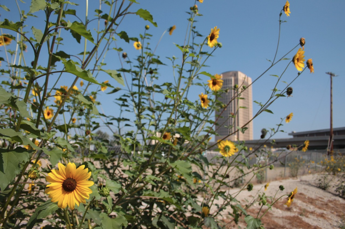 Screen Shot 2026-02-23 at 6.44.37 PM.png