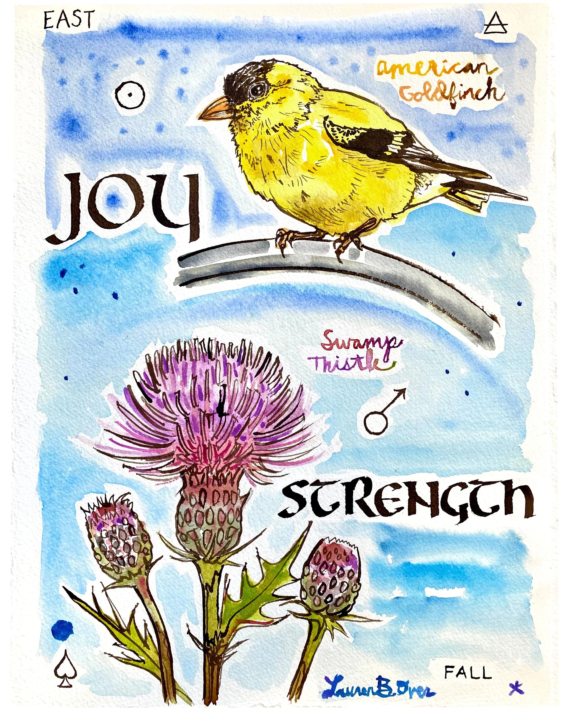 Goldfinch Thistle.jpg