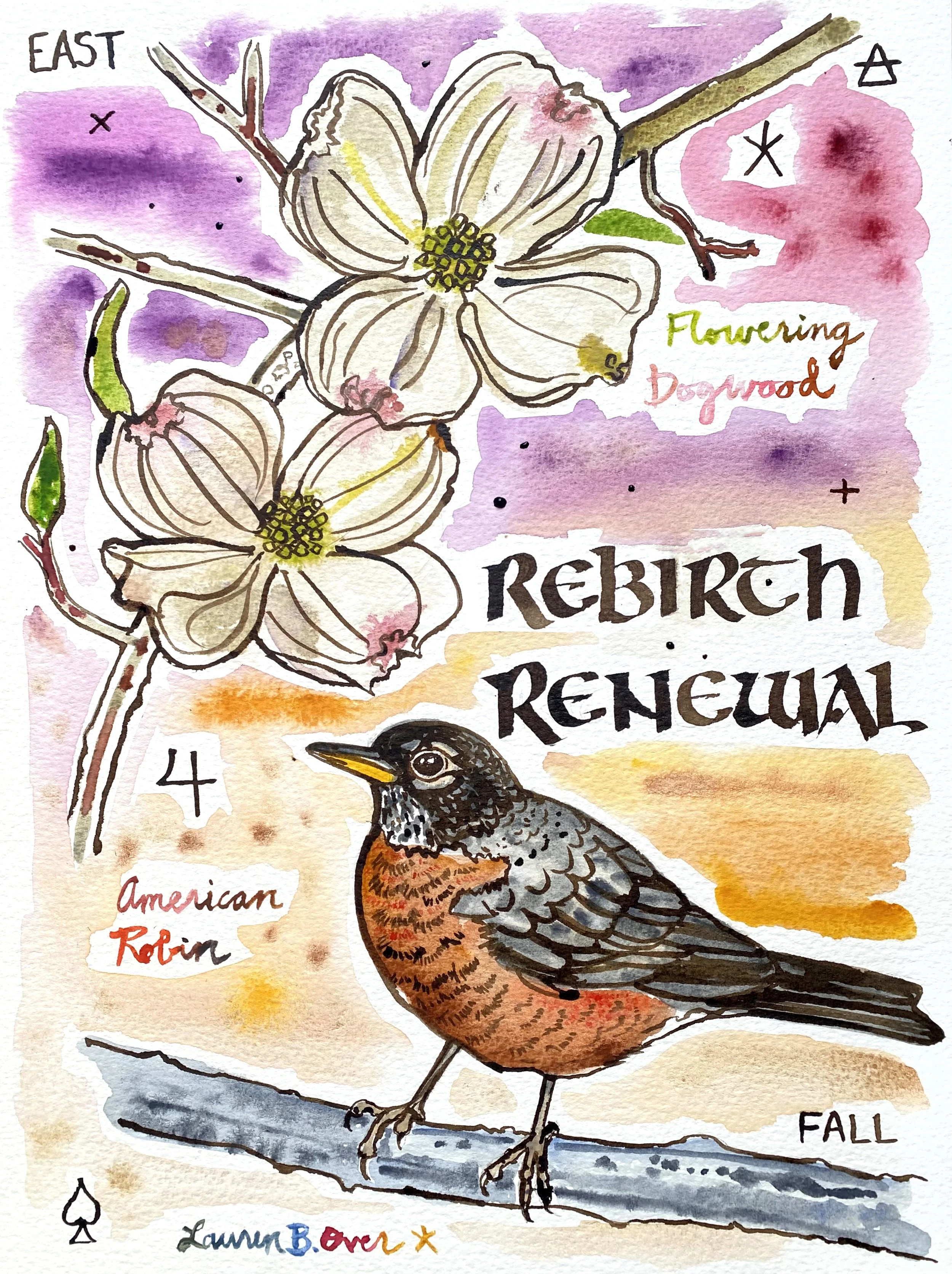 Dogwood Robin.jpeg
