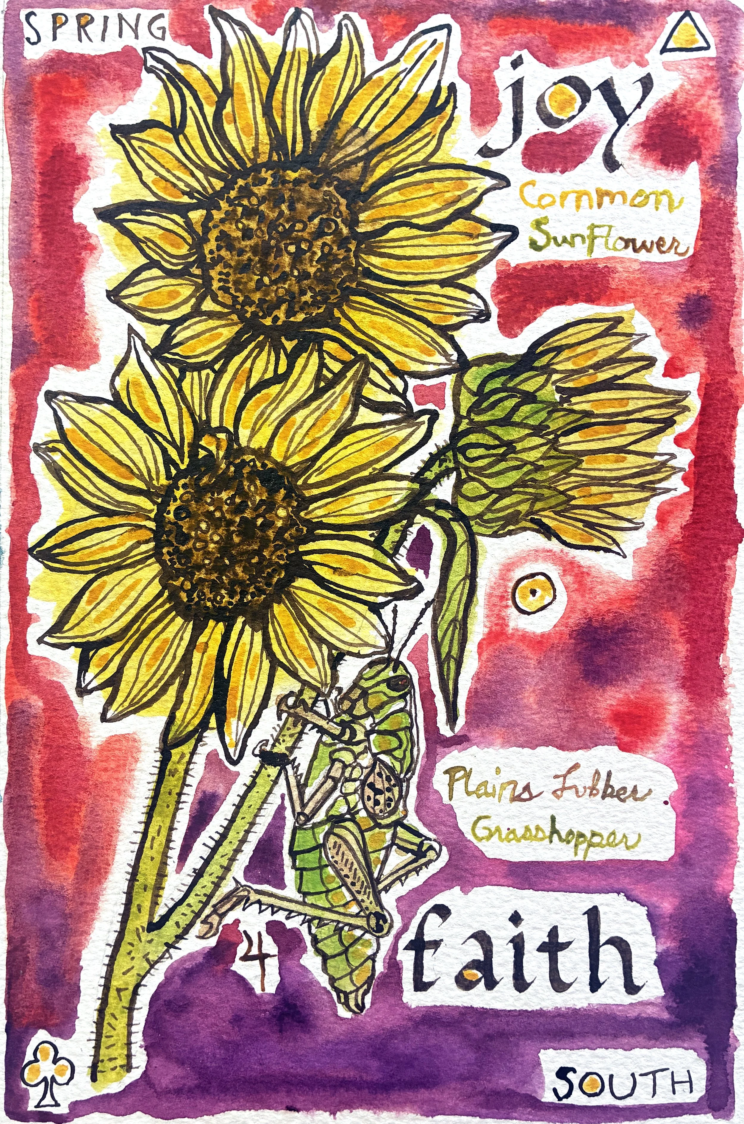 Grasshopper Sunflower.jpeg