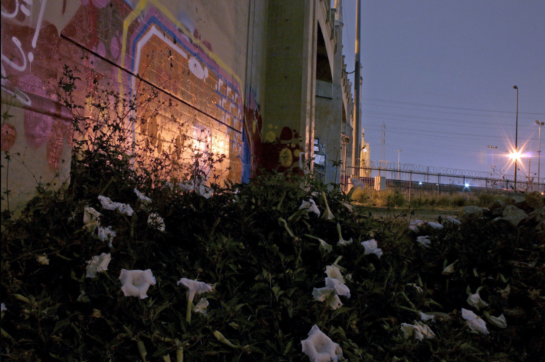 Screen Shot 2026-02-23 at 6.15.29 PM.png