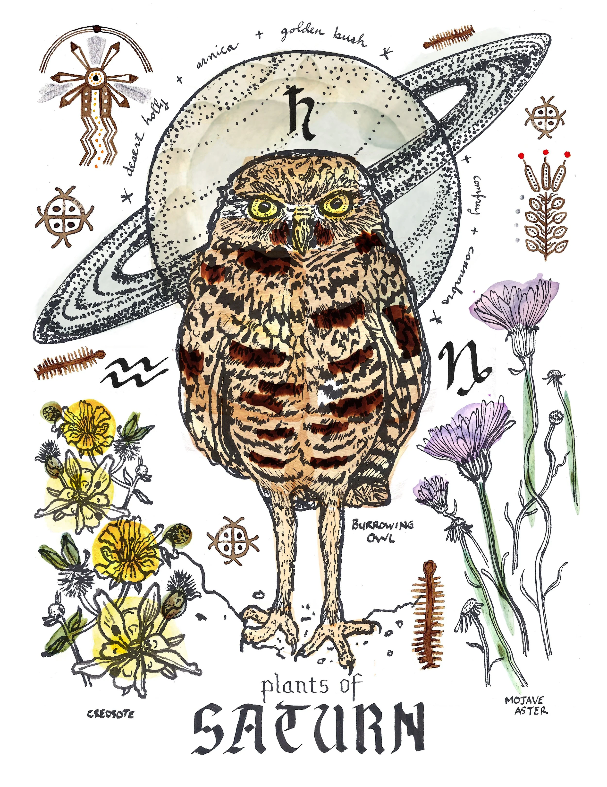 Saturn Owl- Plants & Planets series