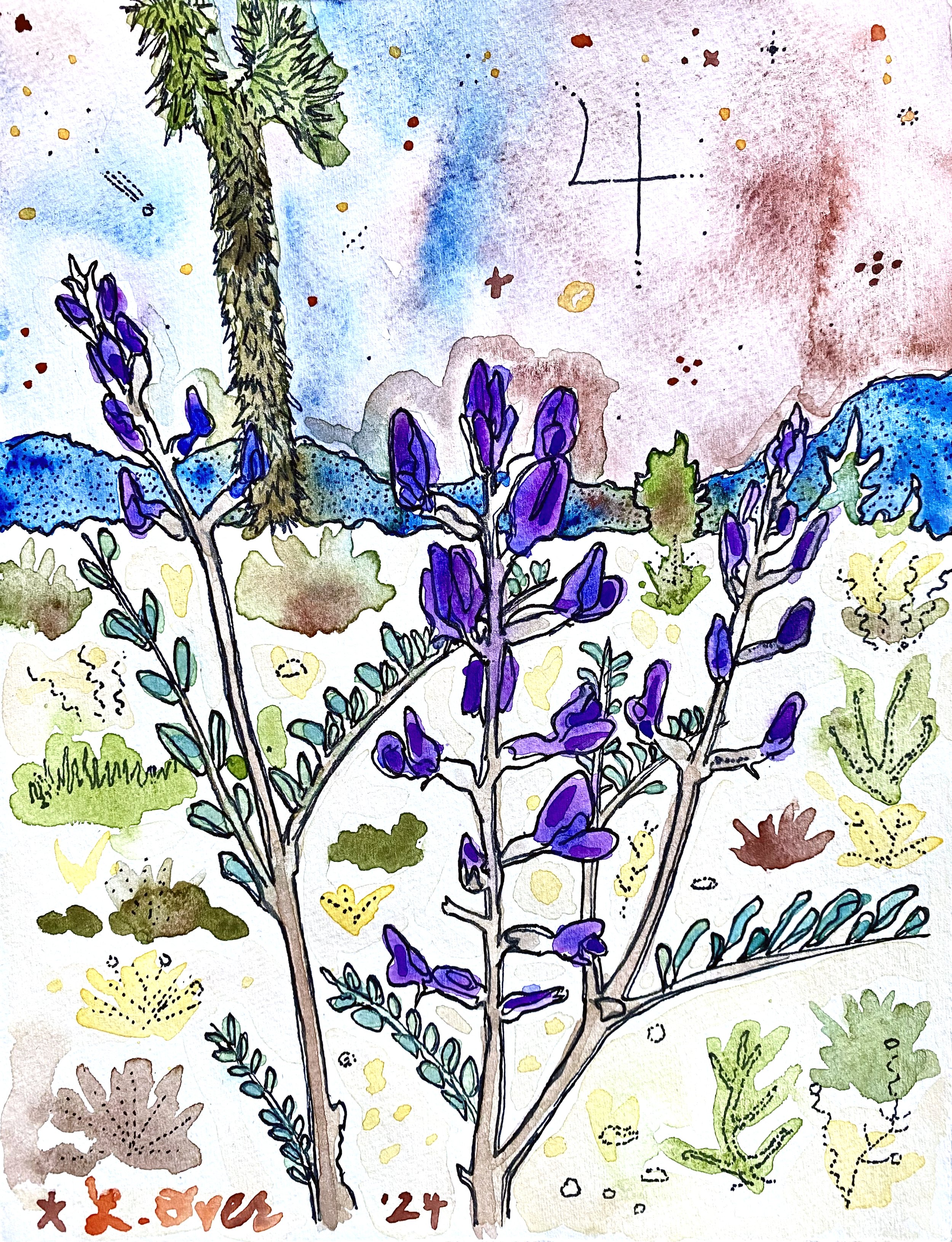 Freckled Milkvetch.jpeg