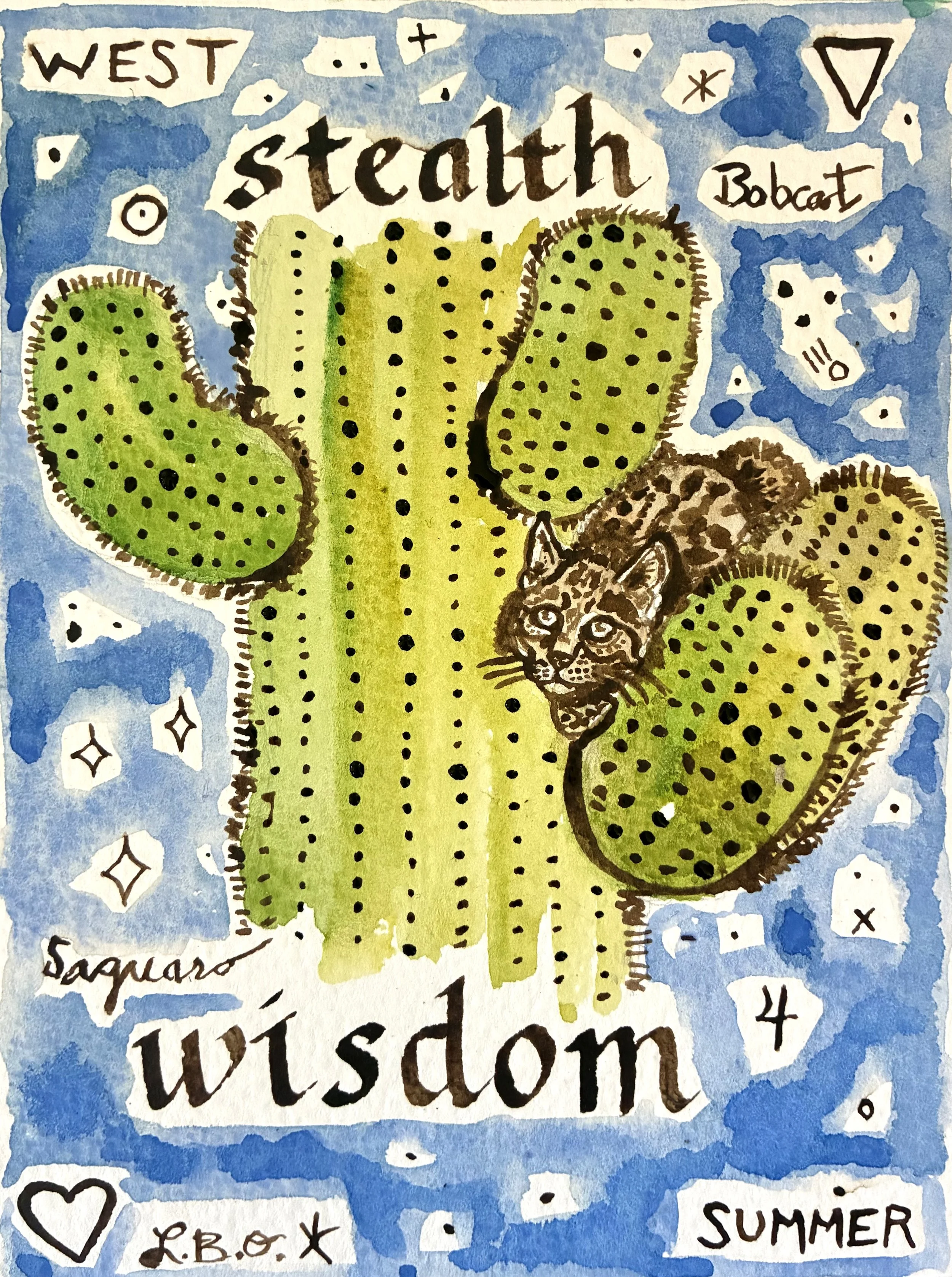 Bobcat Saguaro.jpg